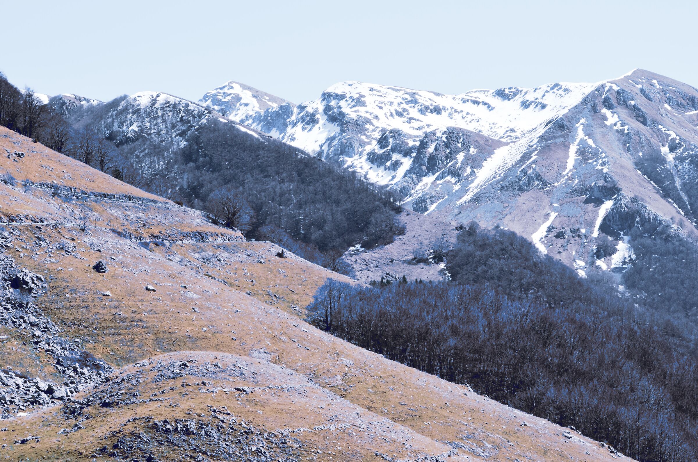 La pace sei sensi...