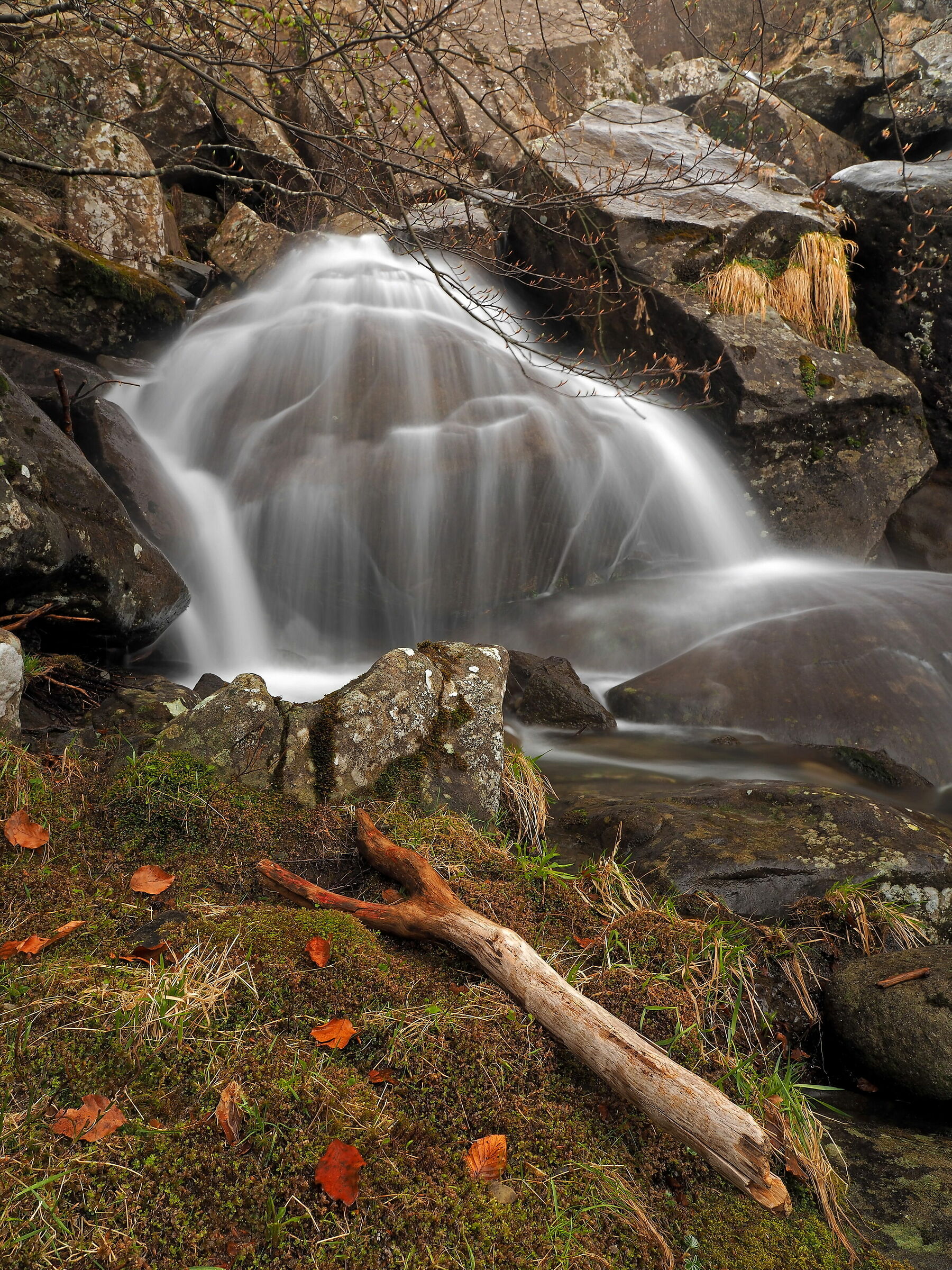 Cascate primaverili