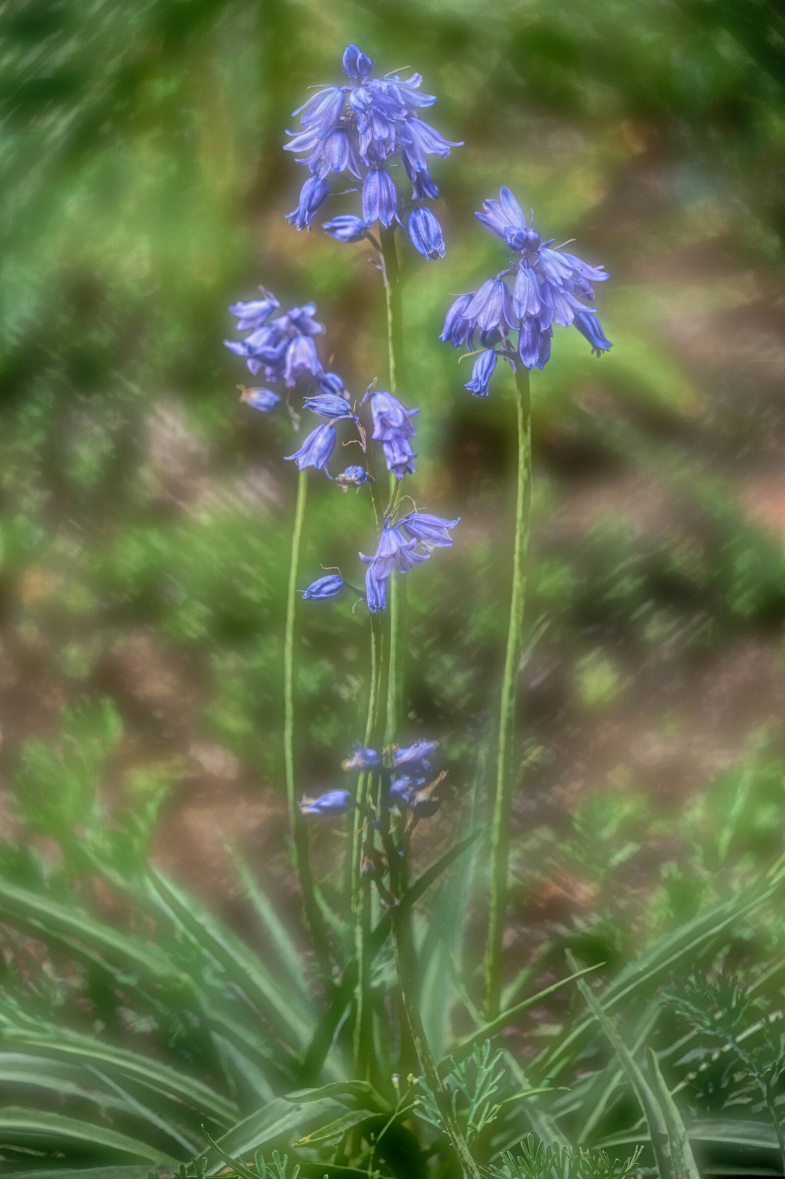Attraverso una finestra