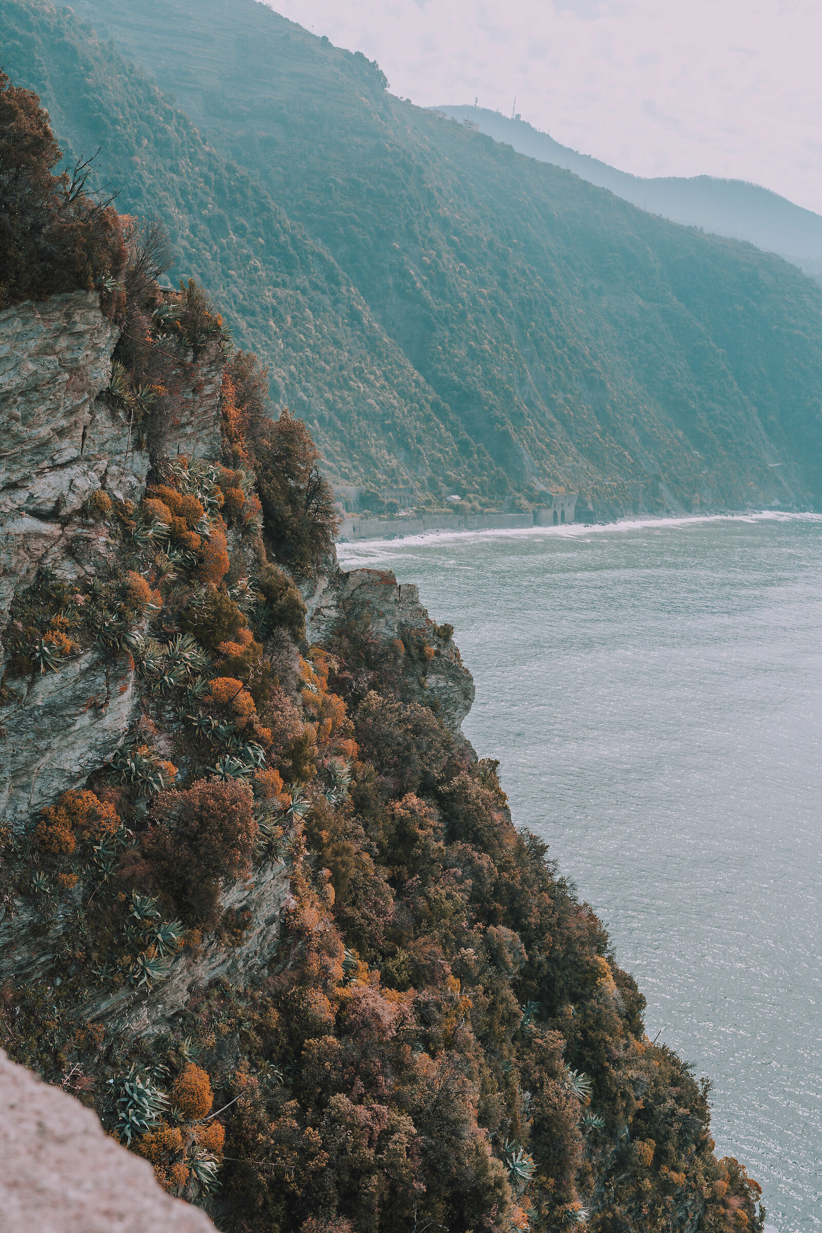 Corniglia - Cinque Terre