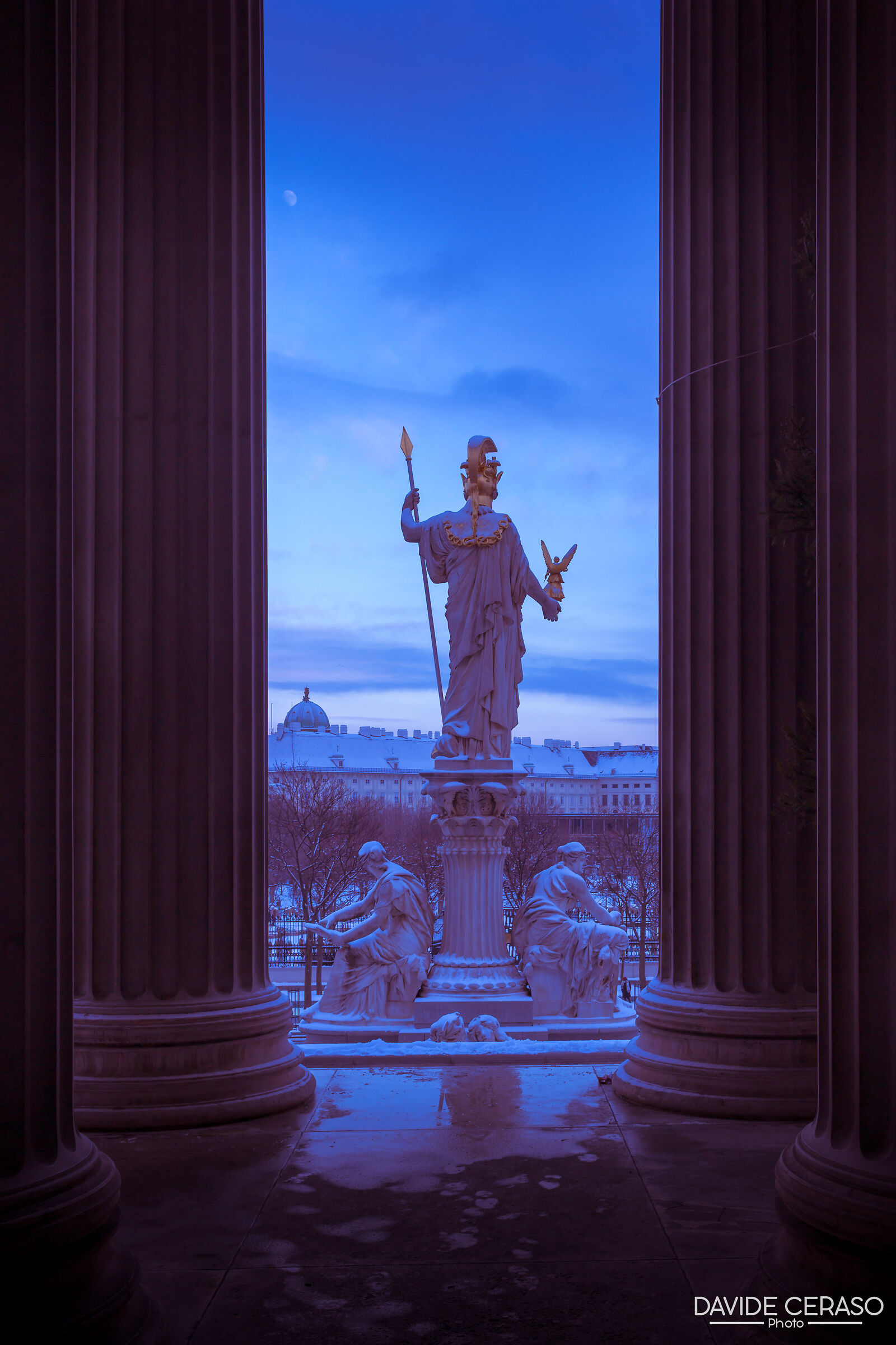 Athena in the snow...