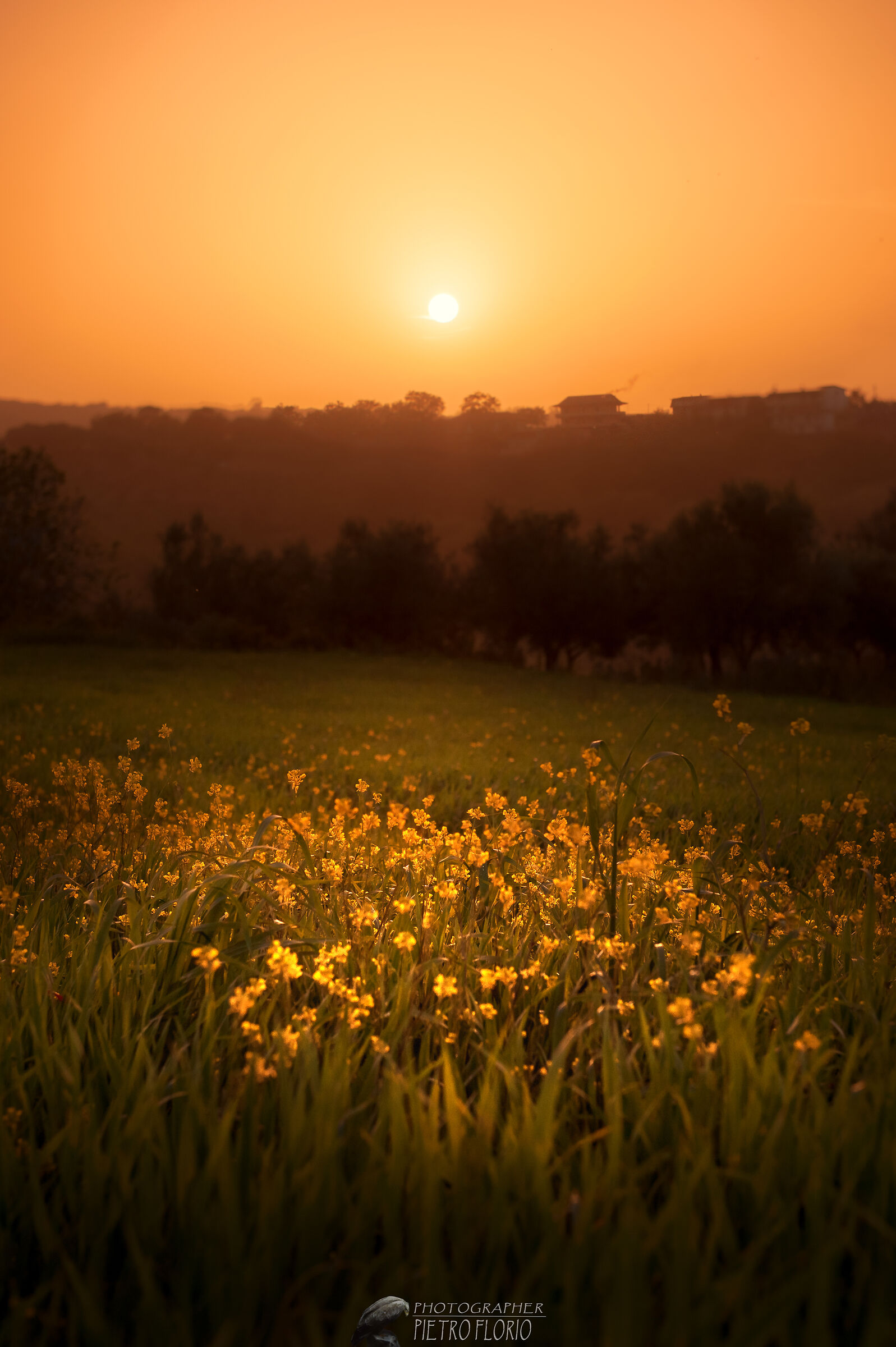 Tramonti a primavera