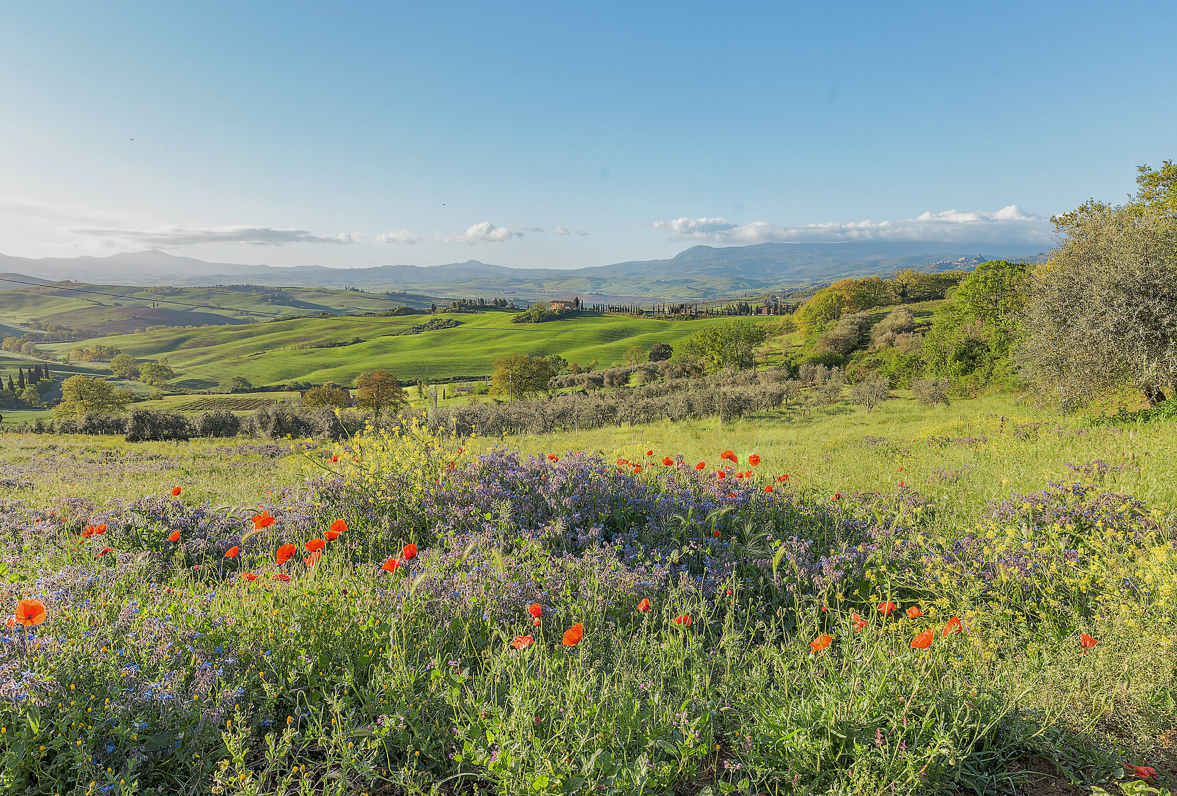 Sulle pendici delle fiabe