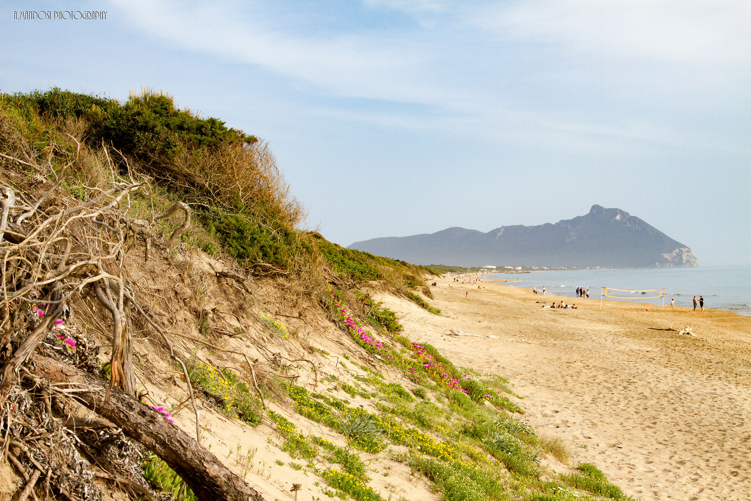 Circeo from the Dunes