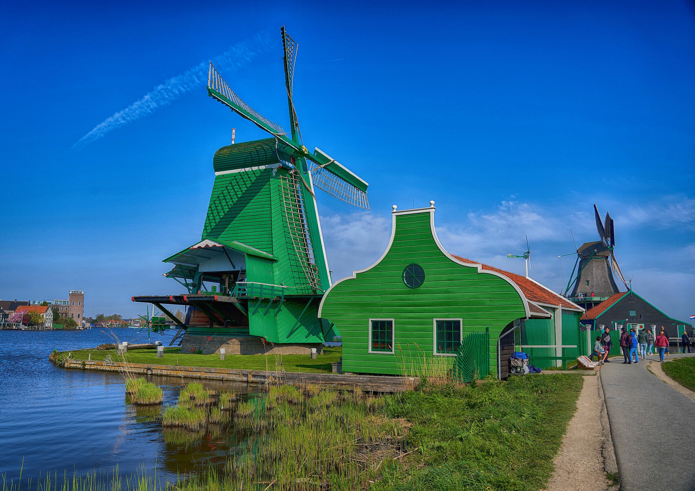 The Green Windmill
