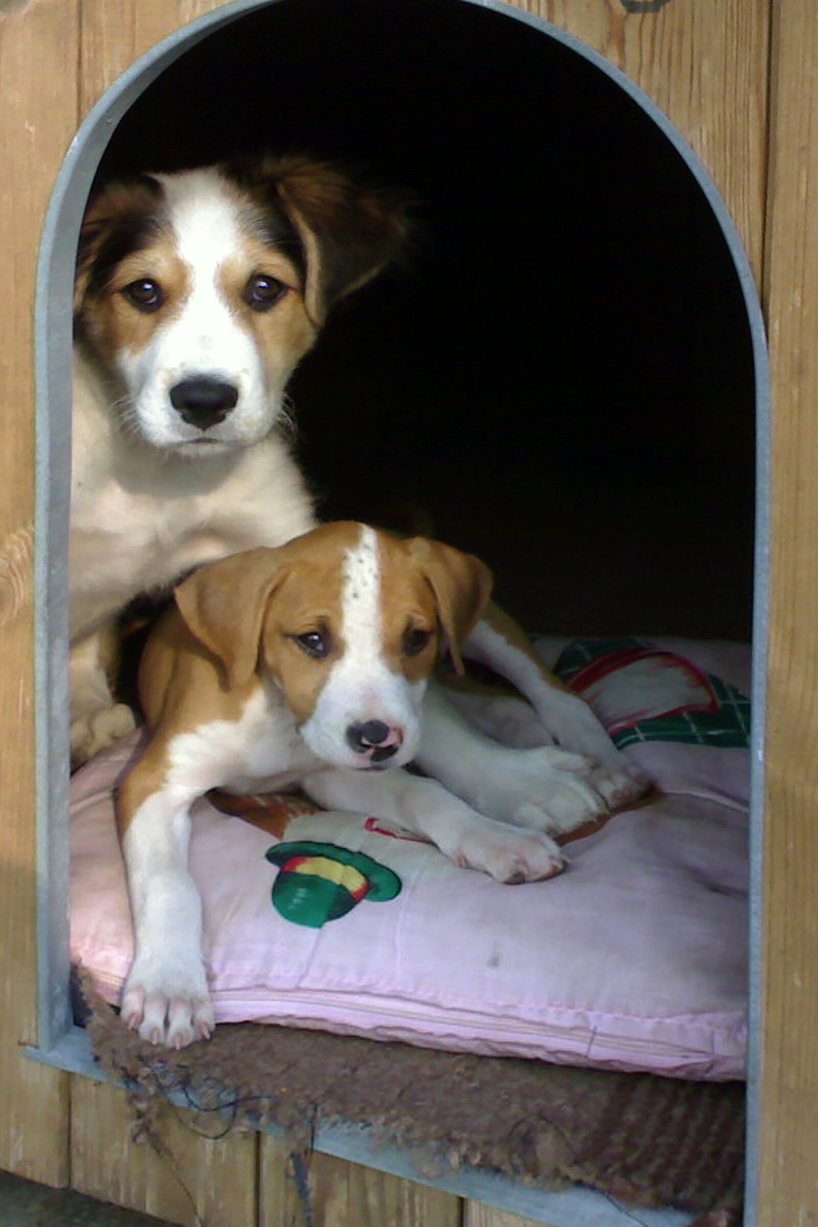 Lady and Girl from Cucciole