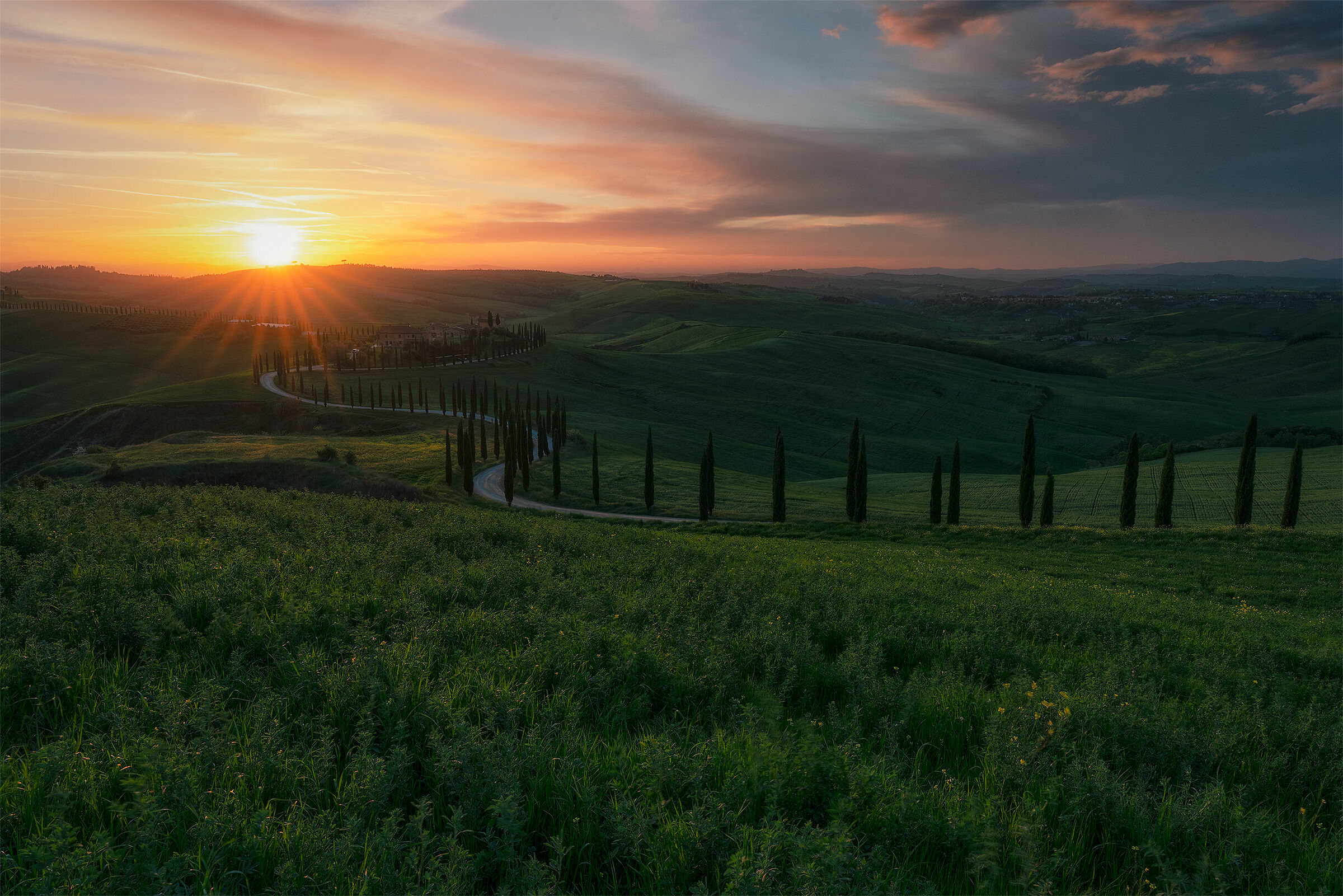 Podere Baccoleno.