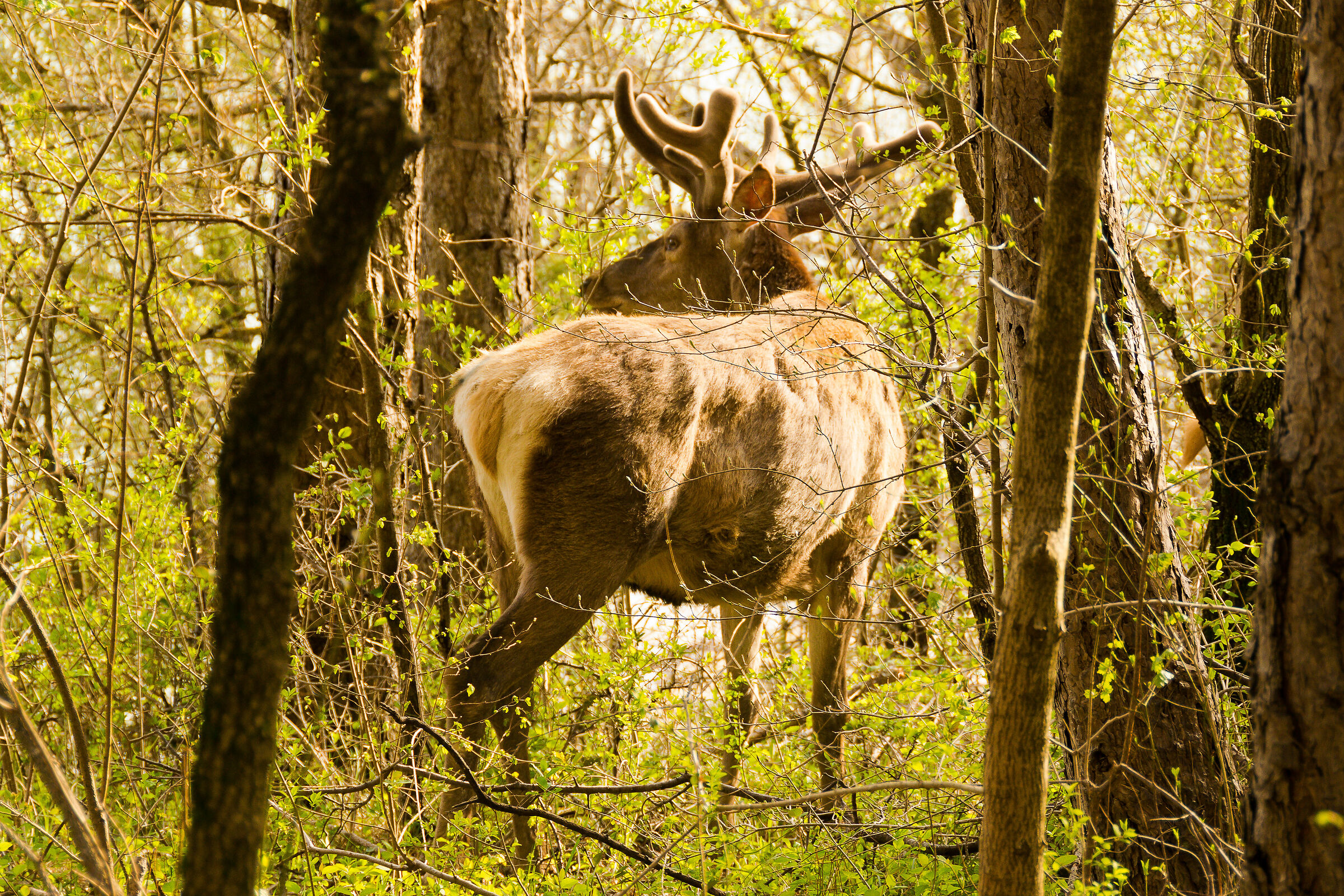 Il mio profilo migliore