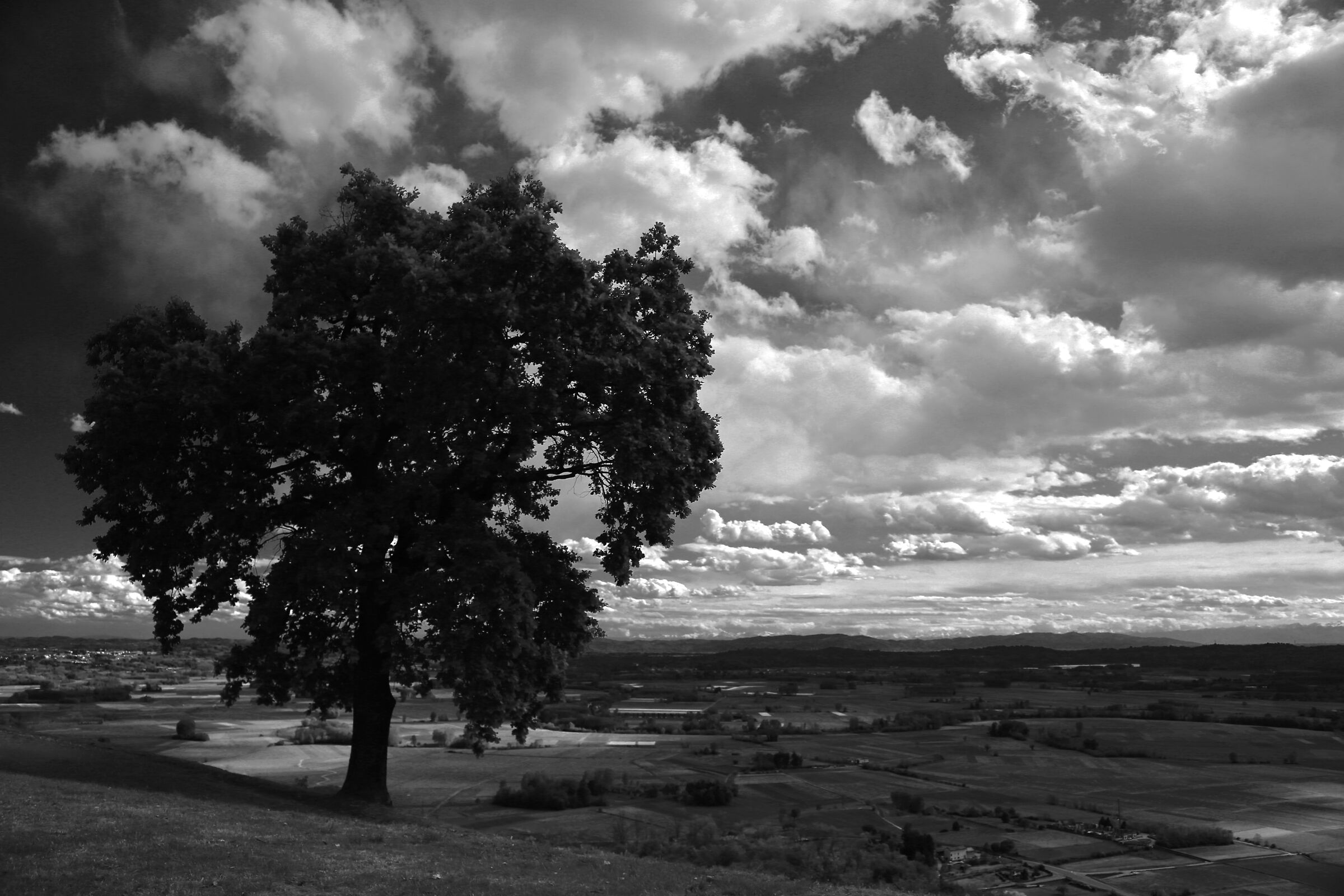 Guardando la pianura