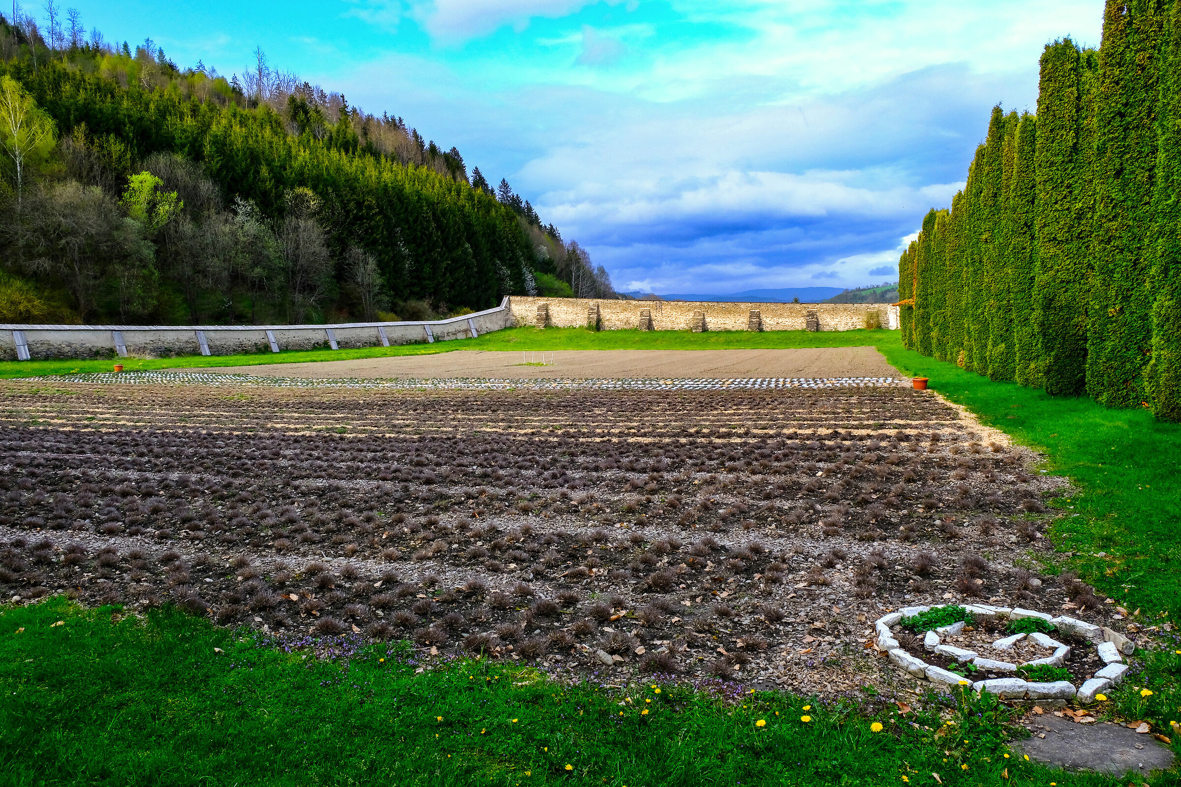 Duomo di Gurk - I Campi delle erbe del Gurktaler