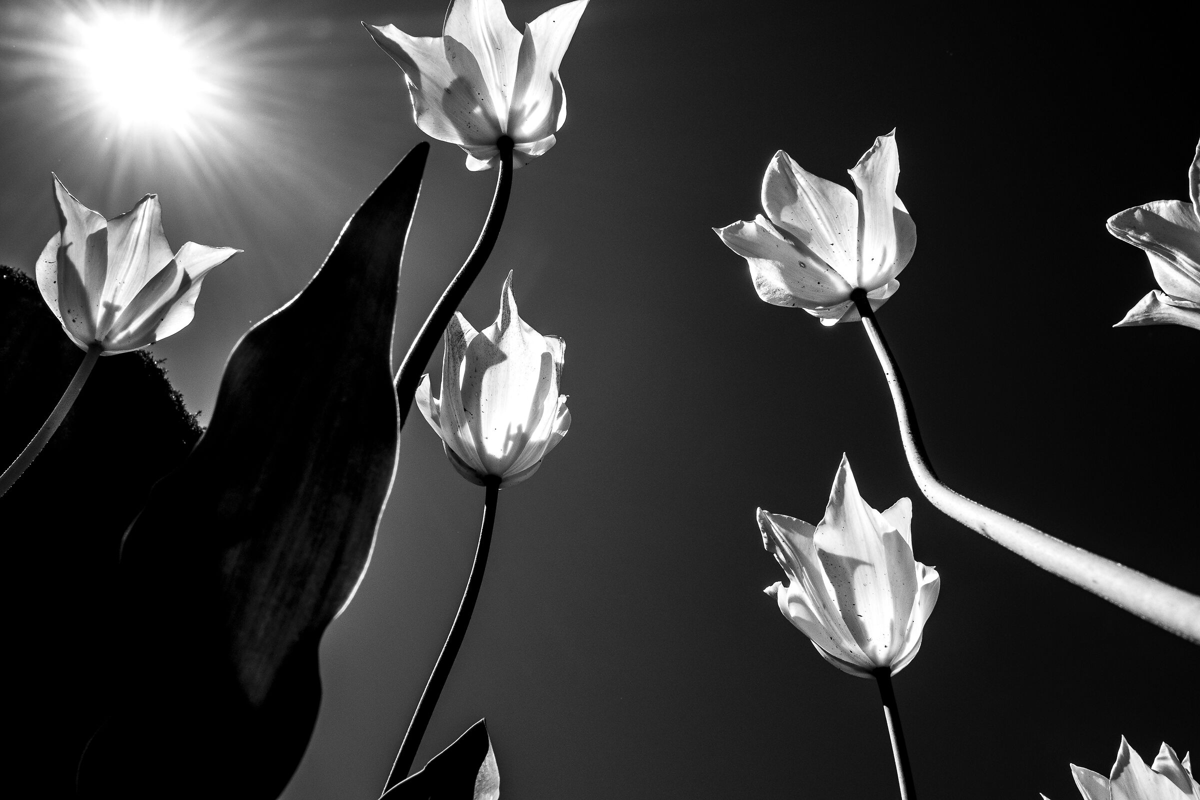 And always, to rise up to the light