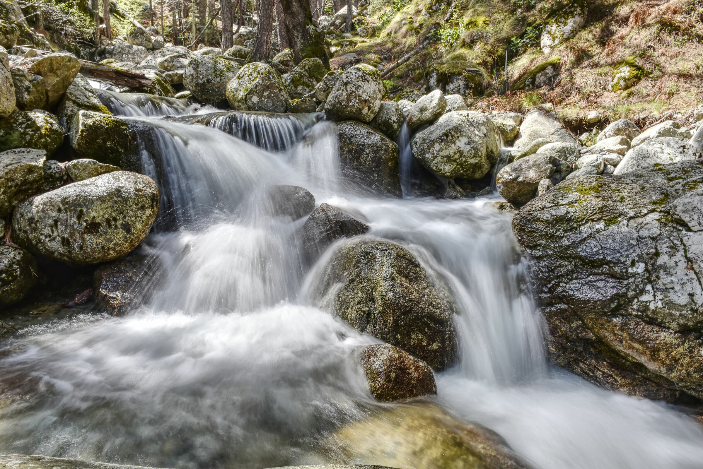 Gorges de la Restonica