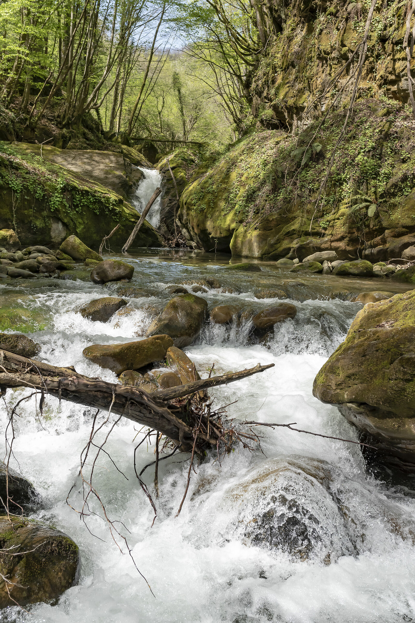 Sentiero cascate della volpara