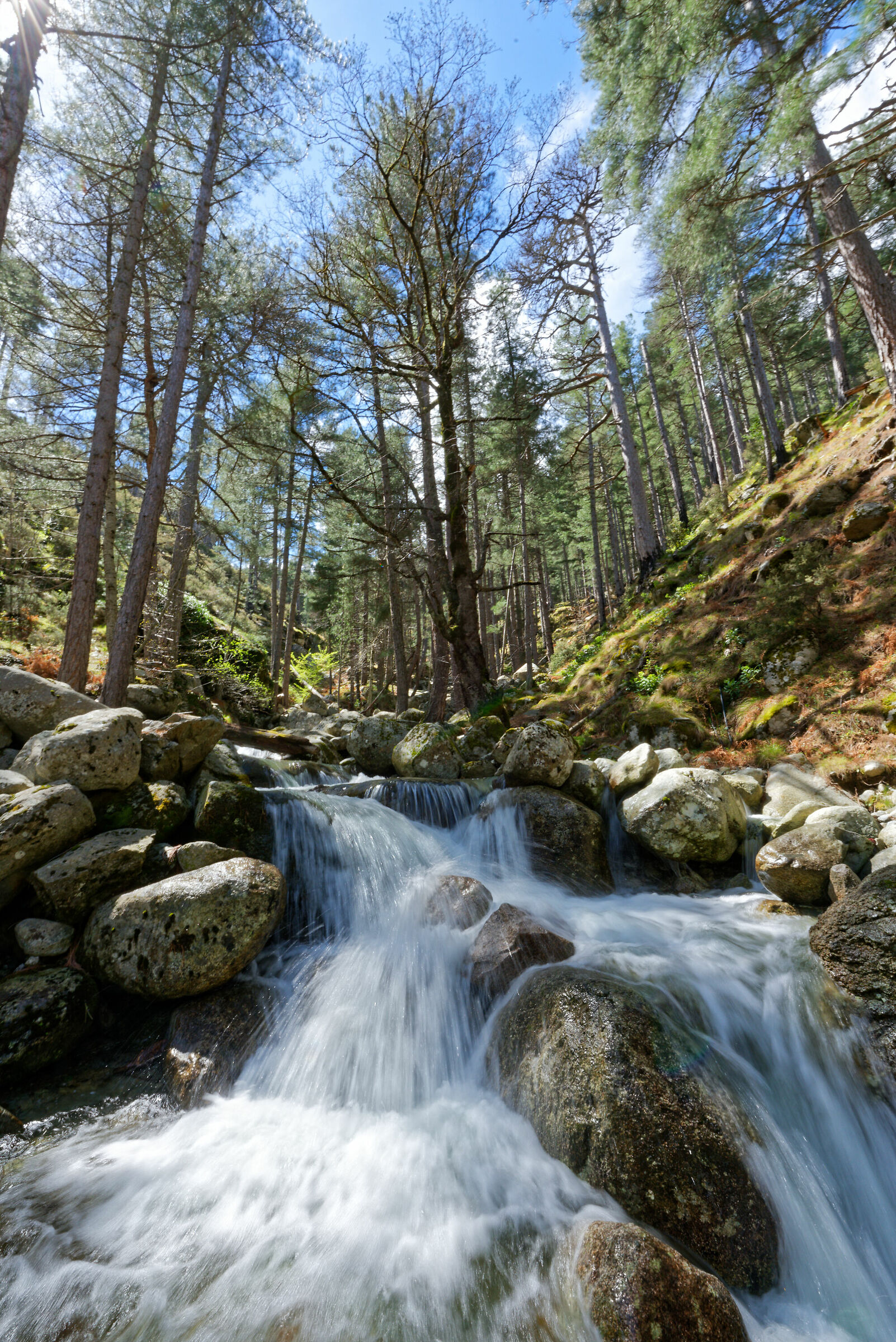 Gorges de la Restonica