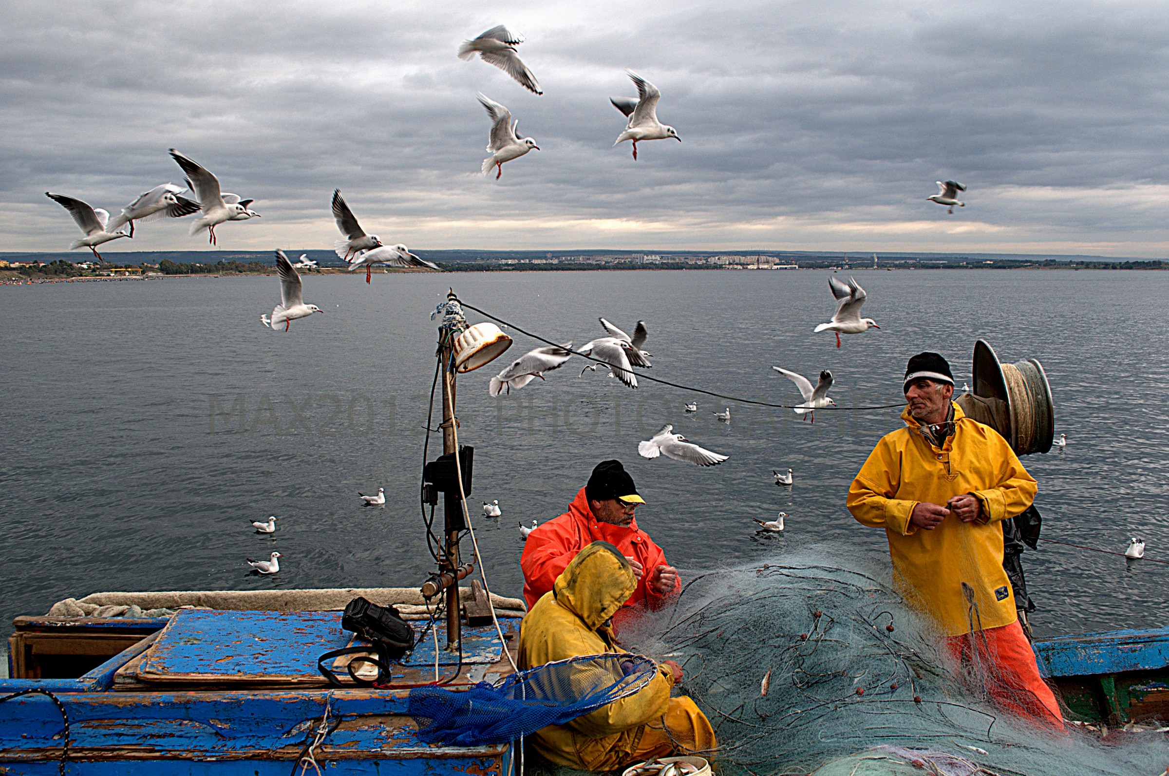 Lavoro duro! I pescatori della città di Taranto