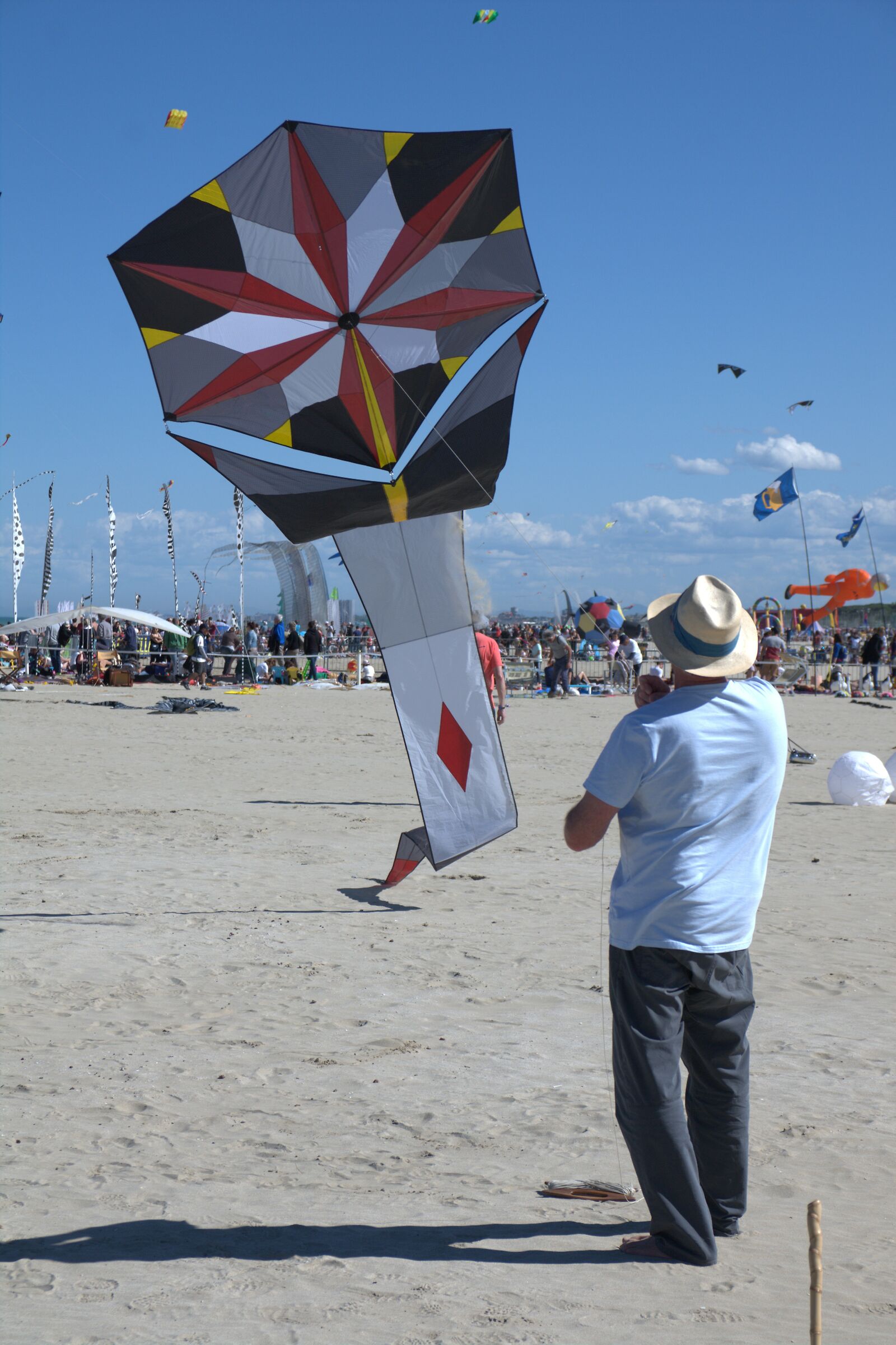 Festival Kites 2019
