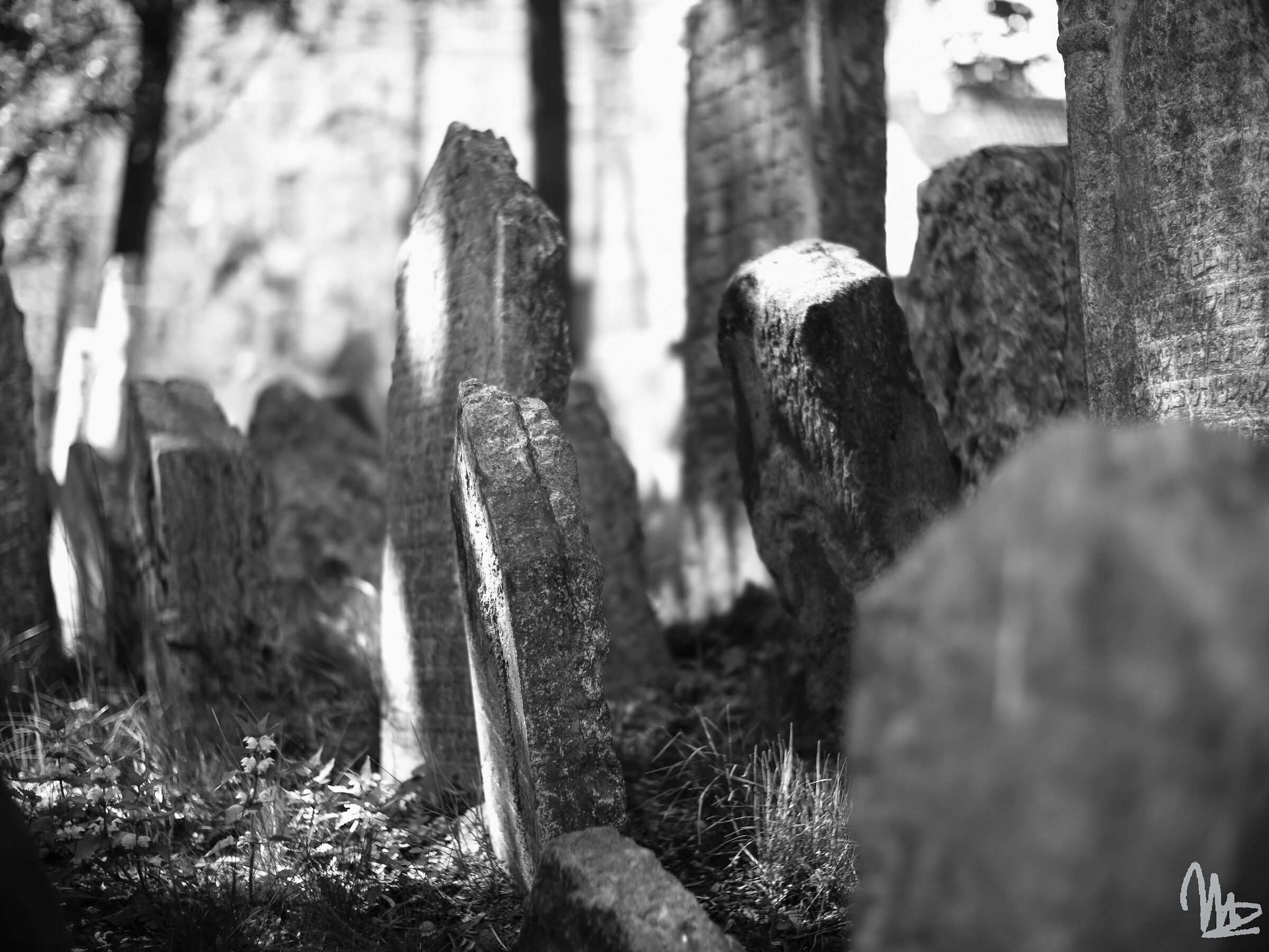 Prague Ancient Jewish Cemetery