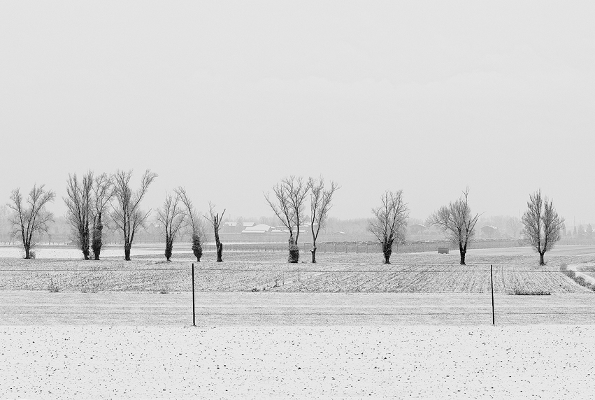 | | | | | | | | | | | |