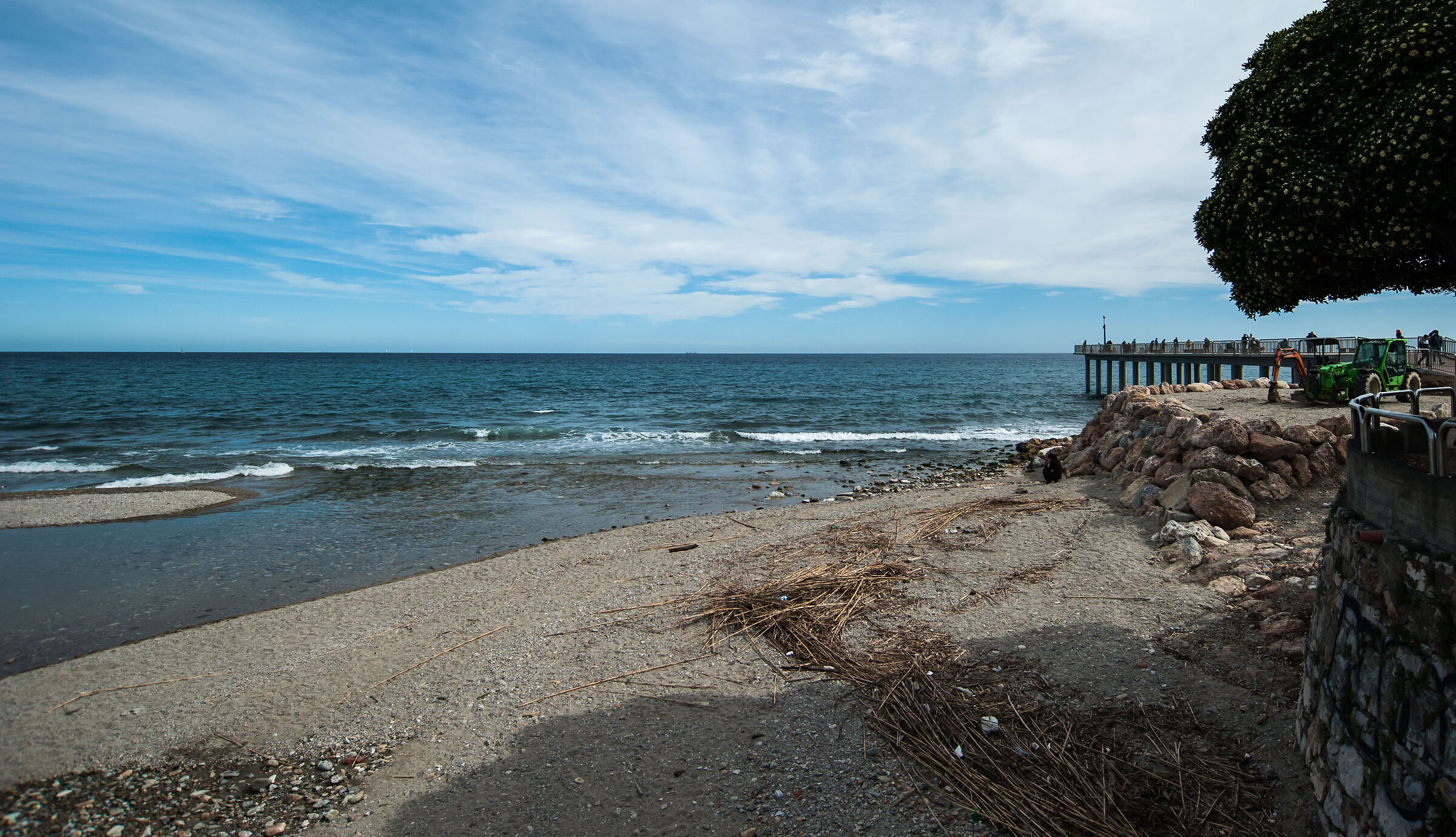 .....e in silenzio.....osserva.