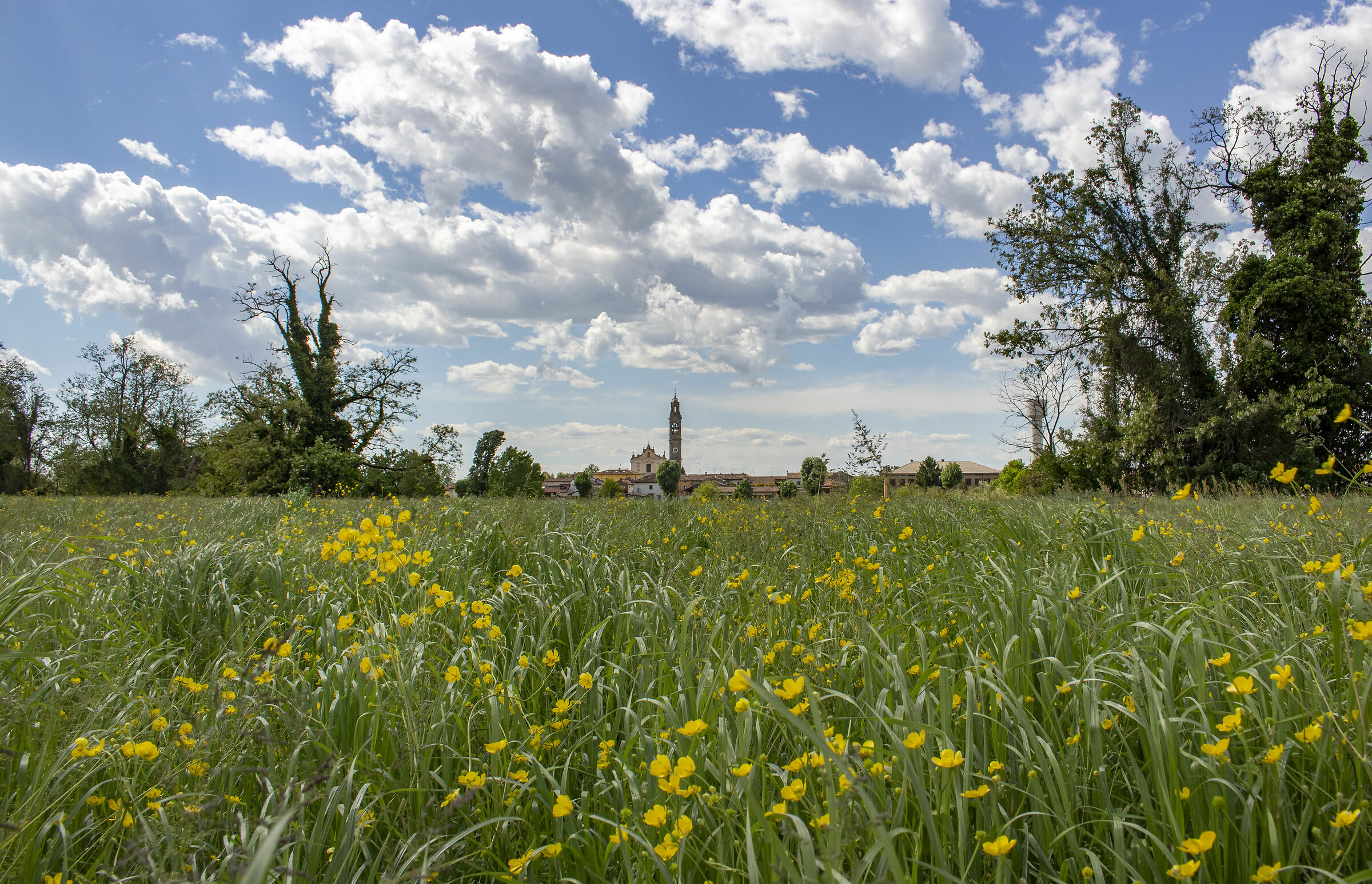 Tranquility on the country