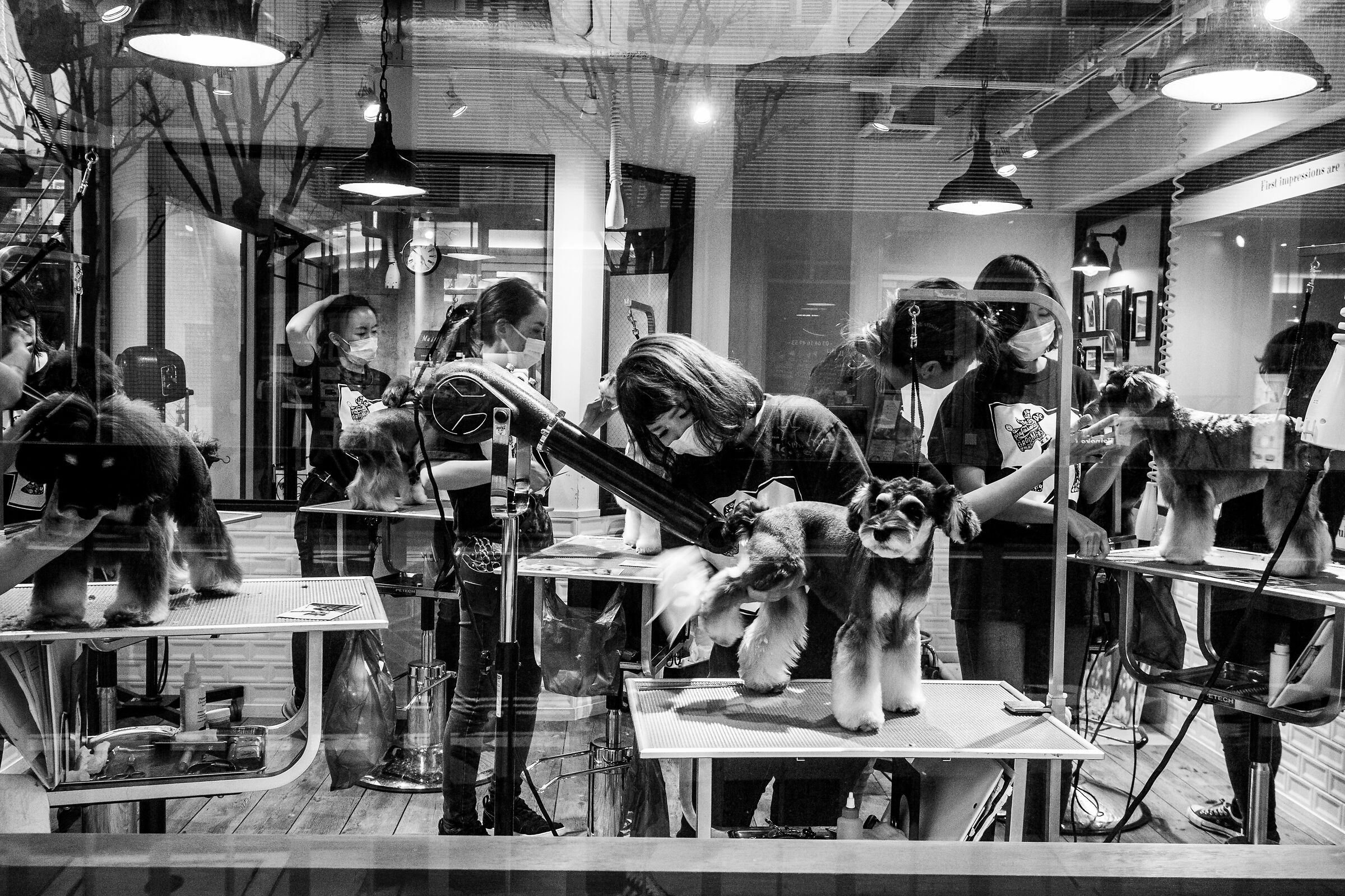 Dog Beauty Salon/Tokyo