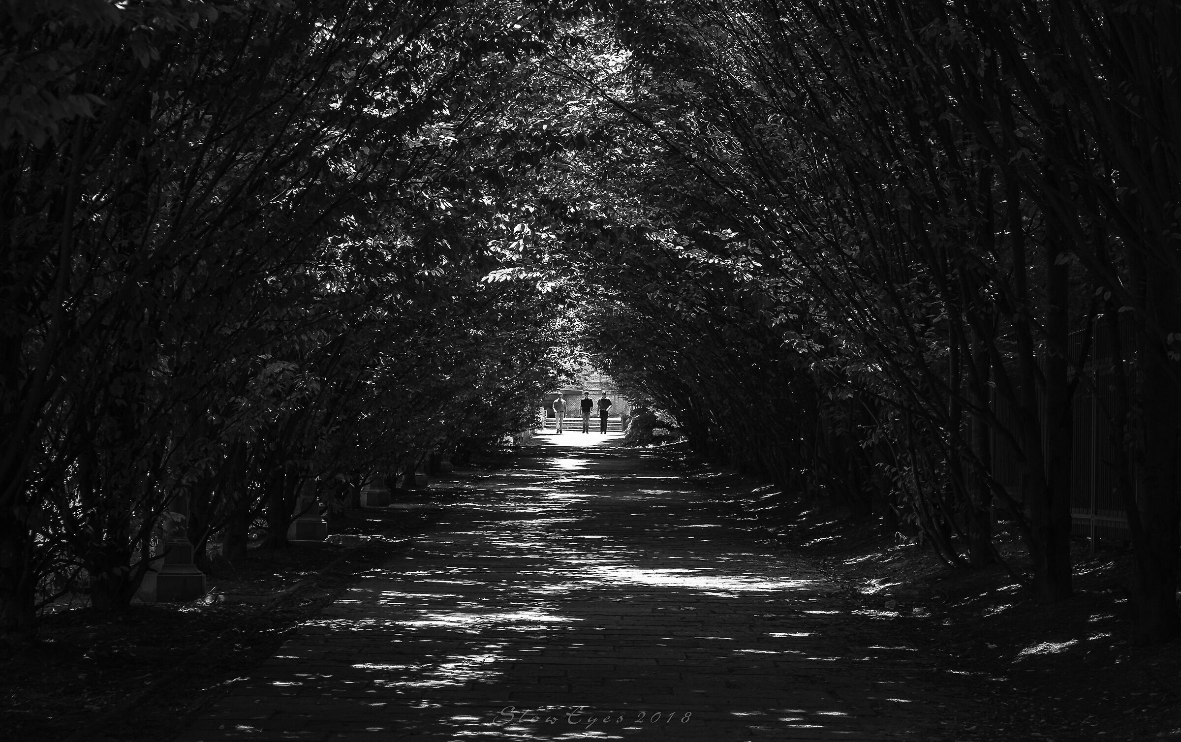 In fondo al viale...