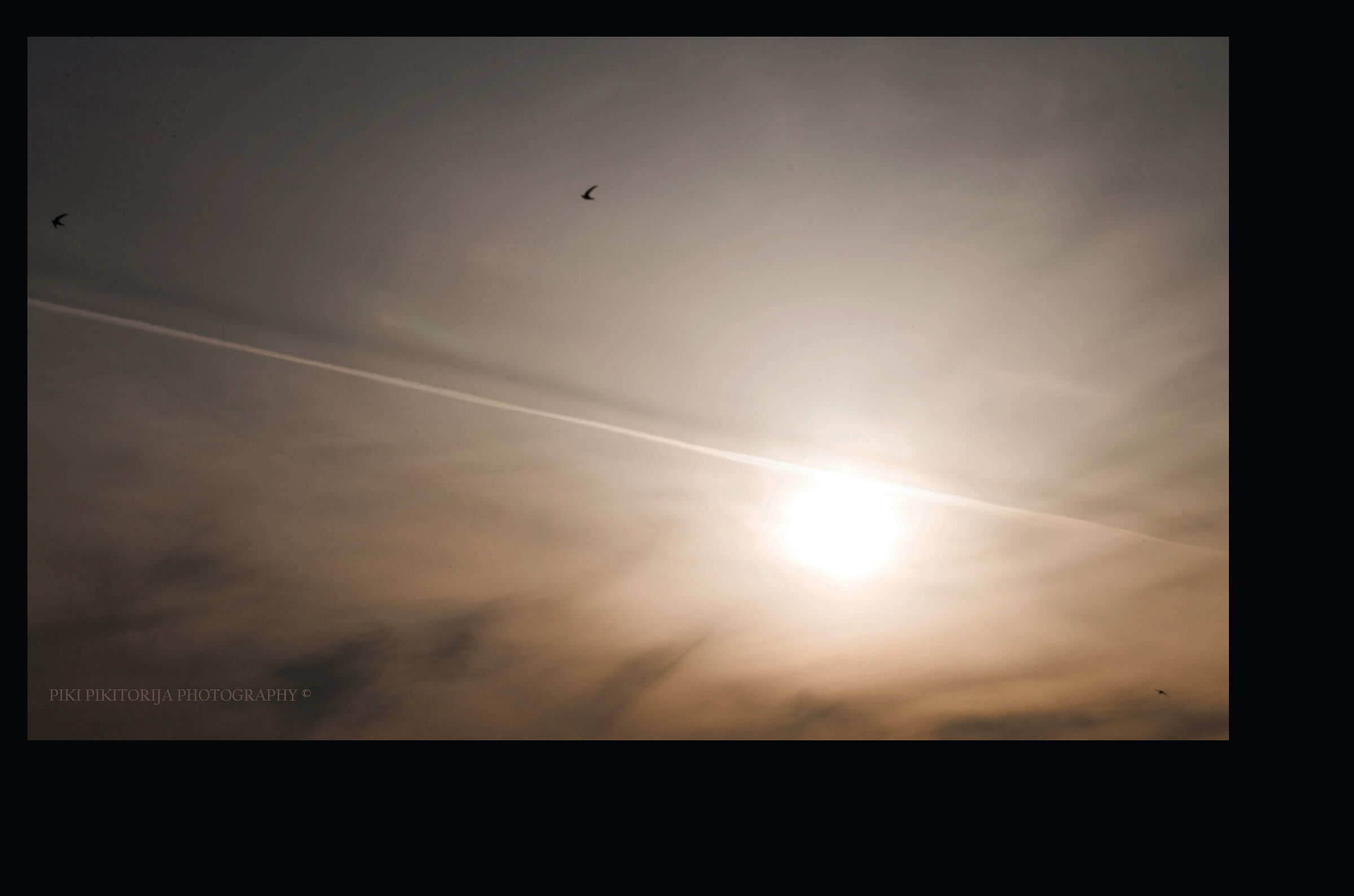 Un anno guardando le nuvole