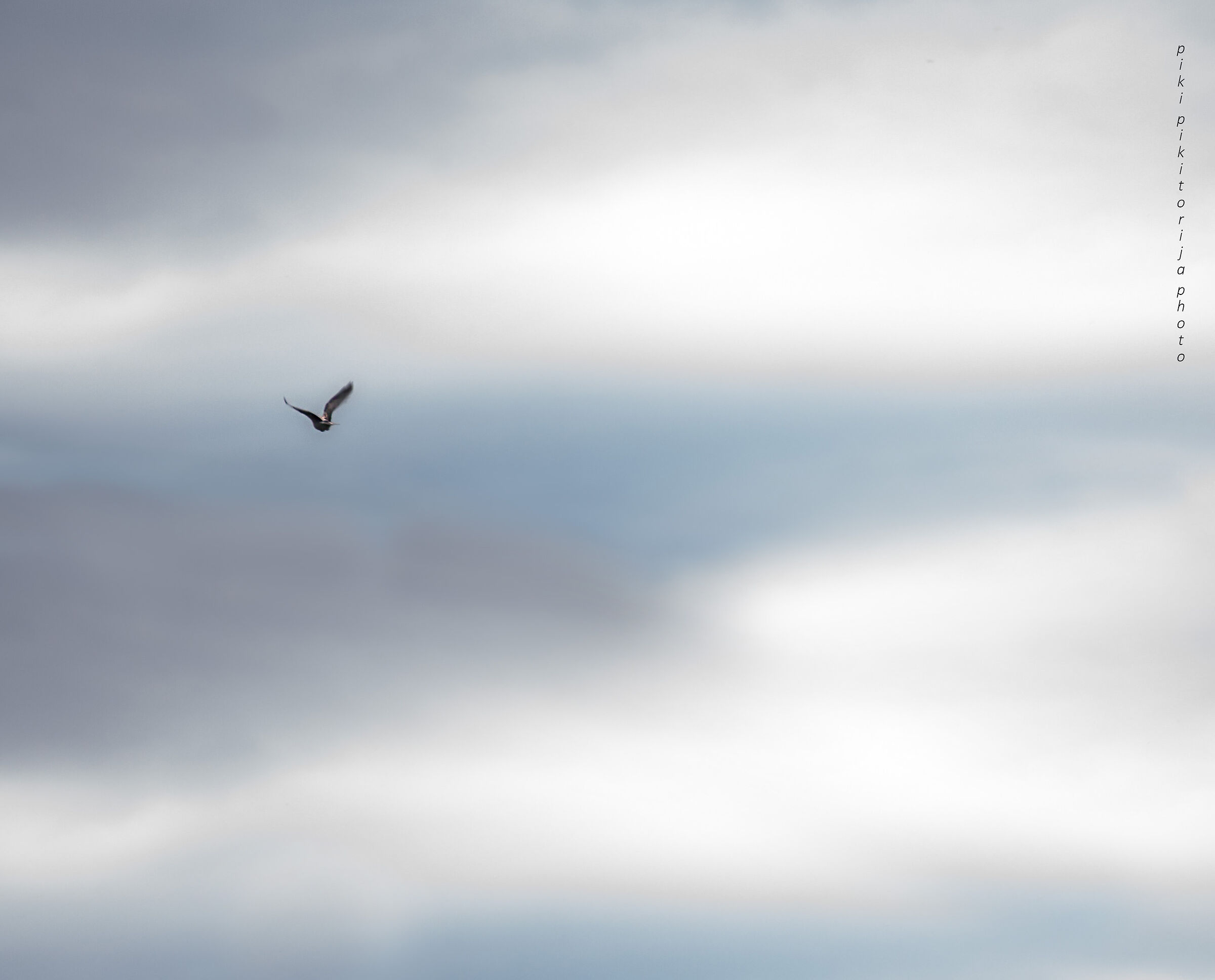 Un anno guardando le nuvole