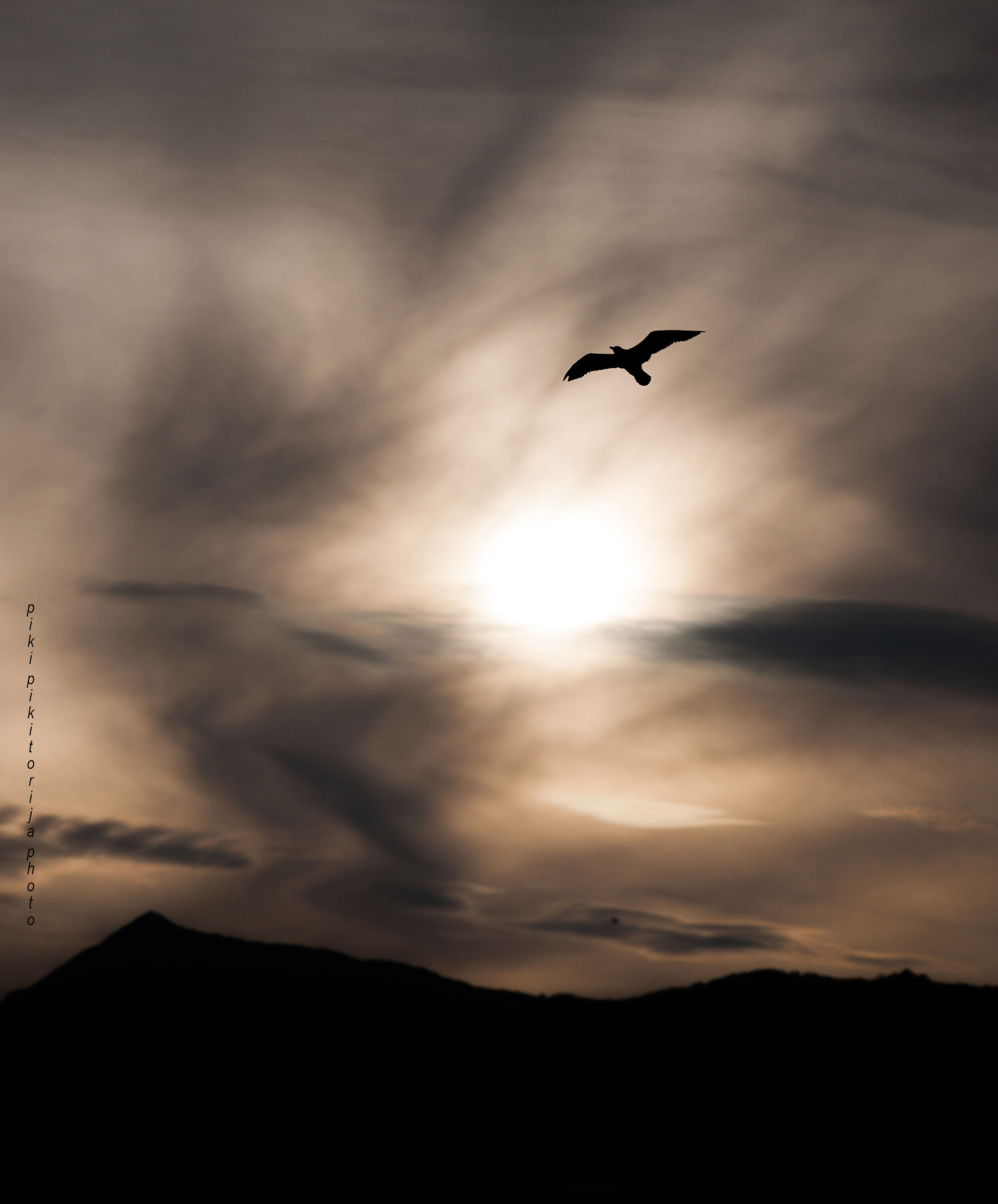 Un anno guardando le nuvole