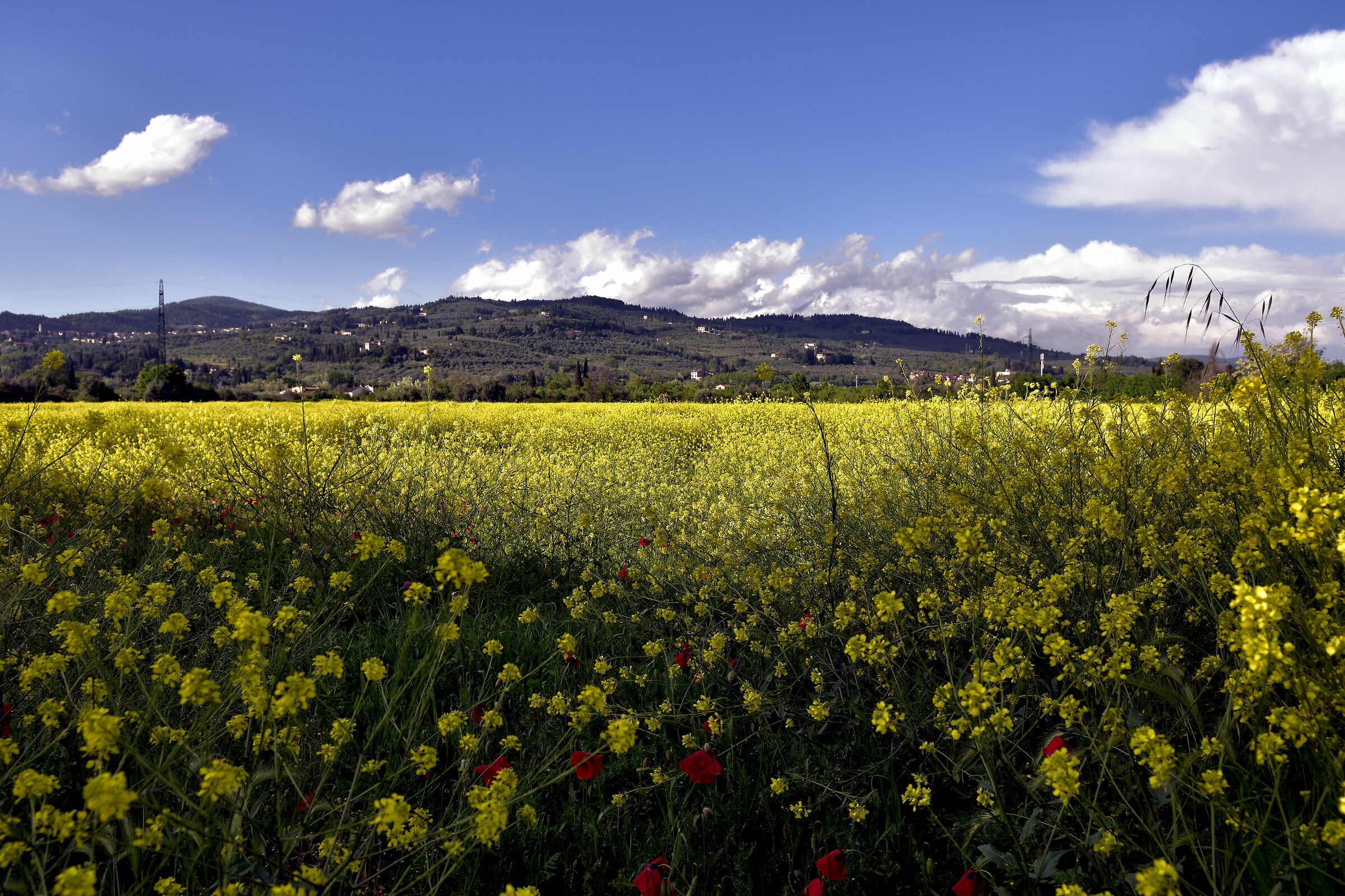 Non c'è blu senza giallo
