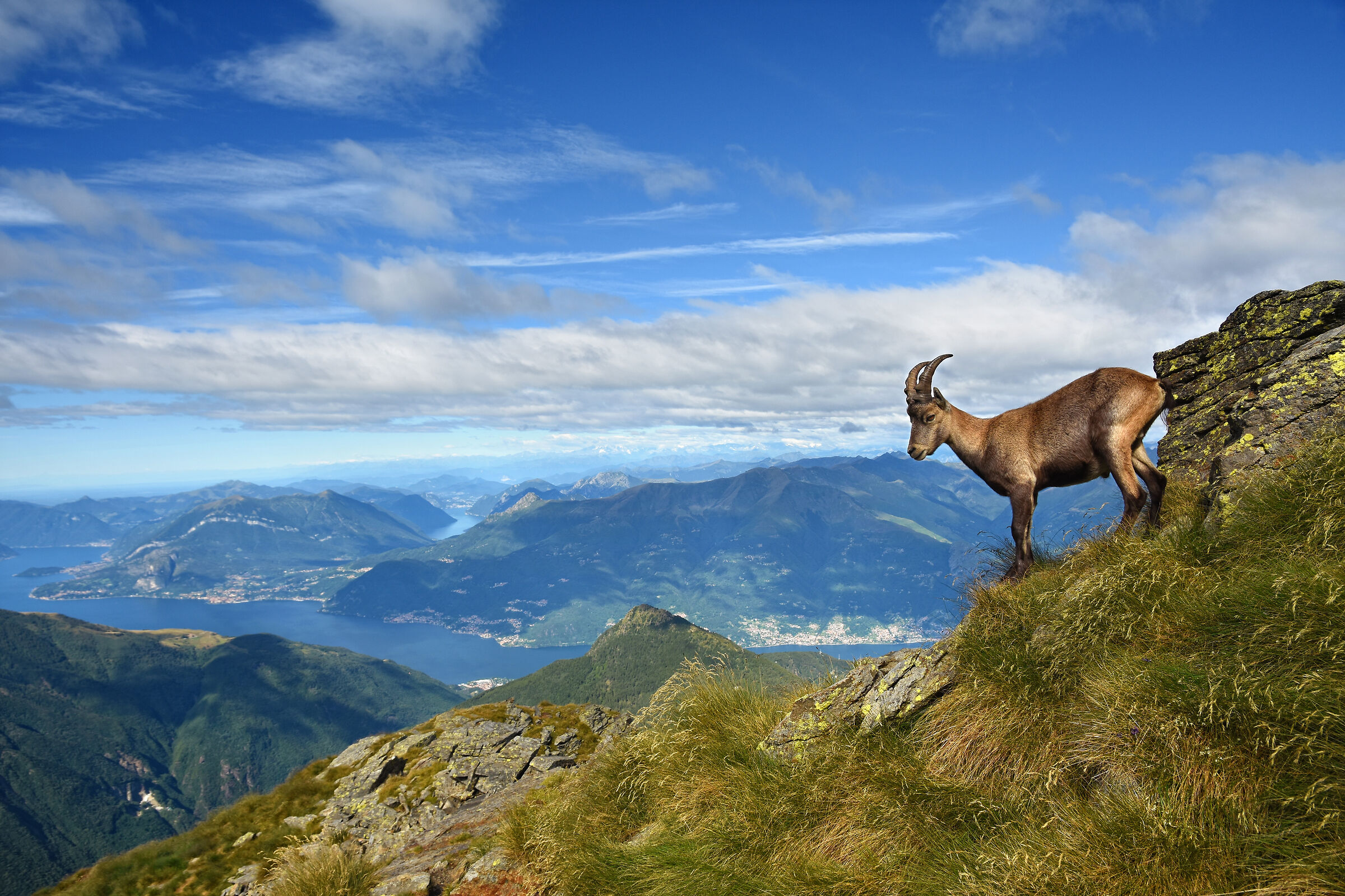 Admiring the panorama