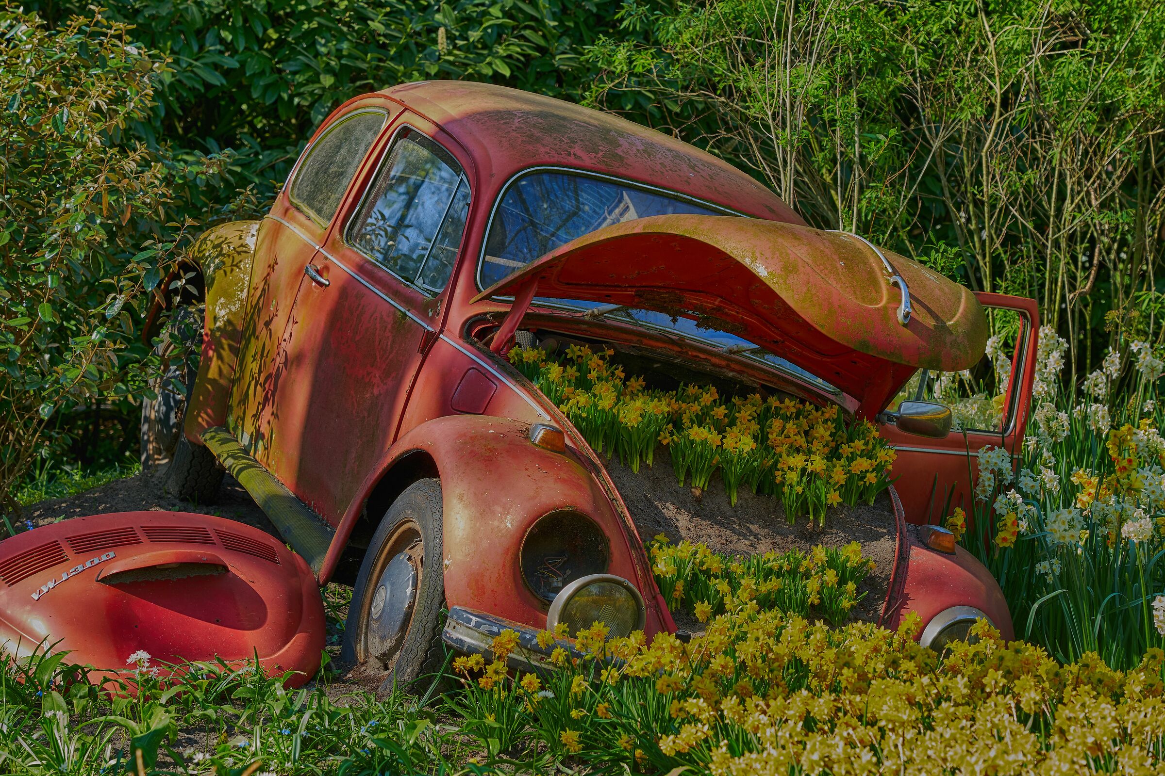 A very eco-friendly beetle