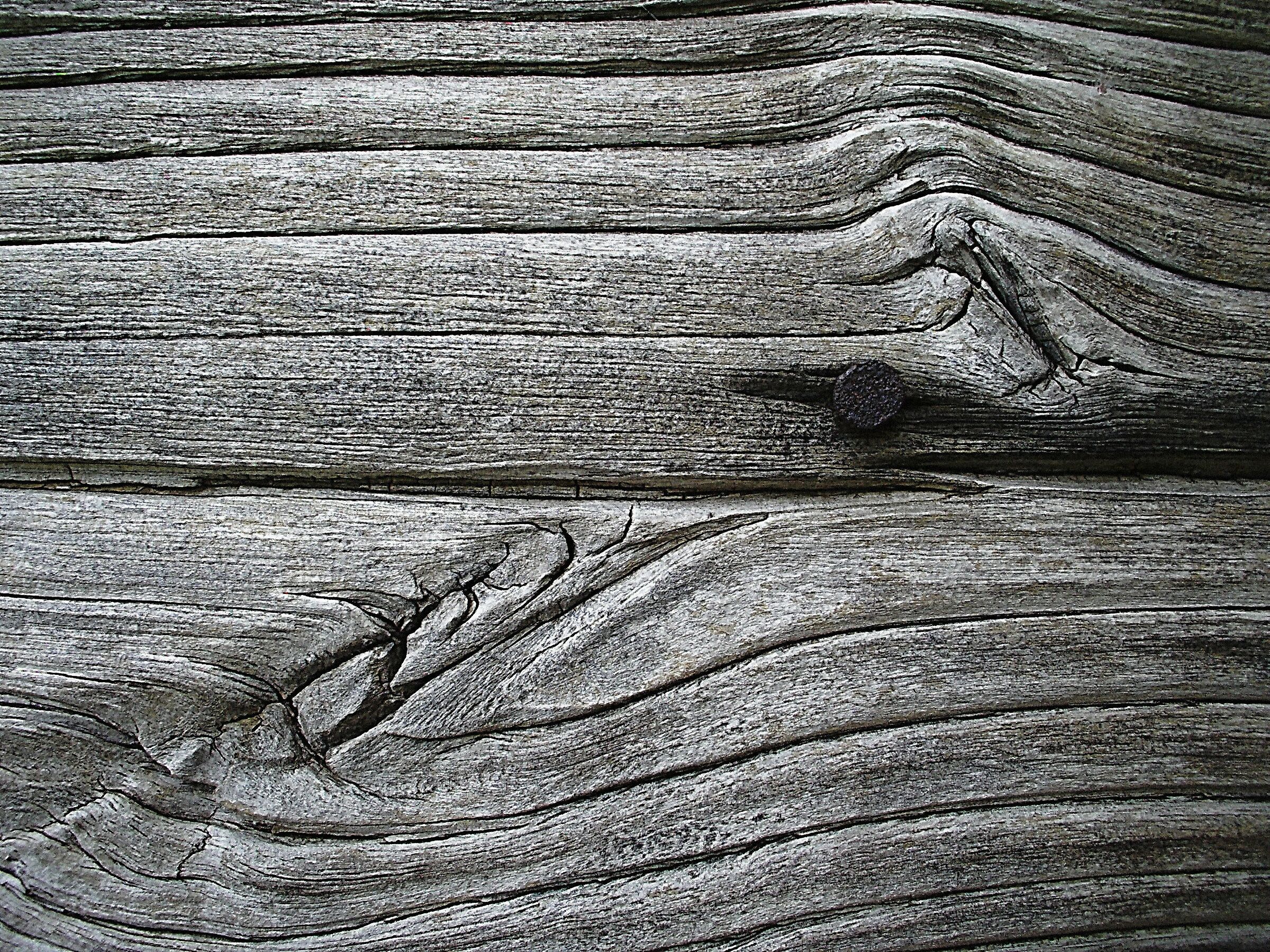 Cromatismi Arborei