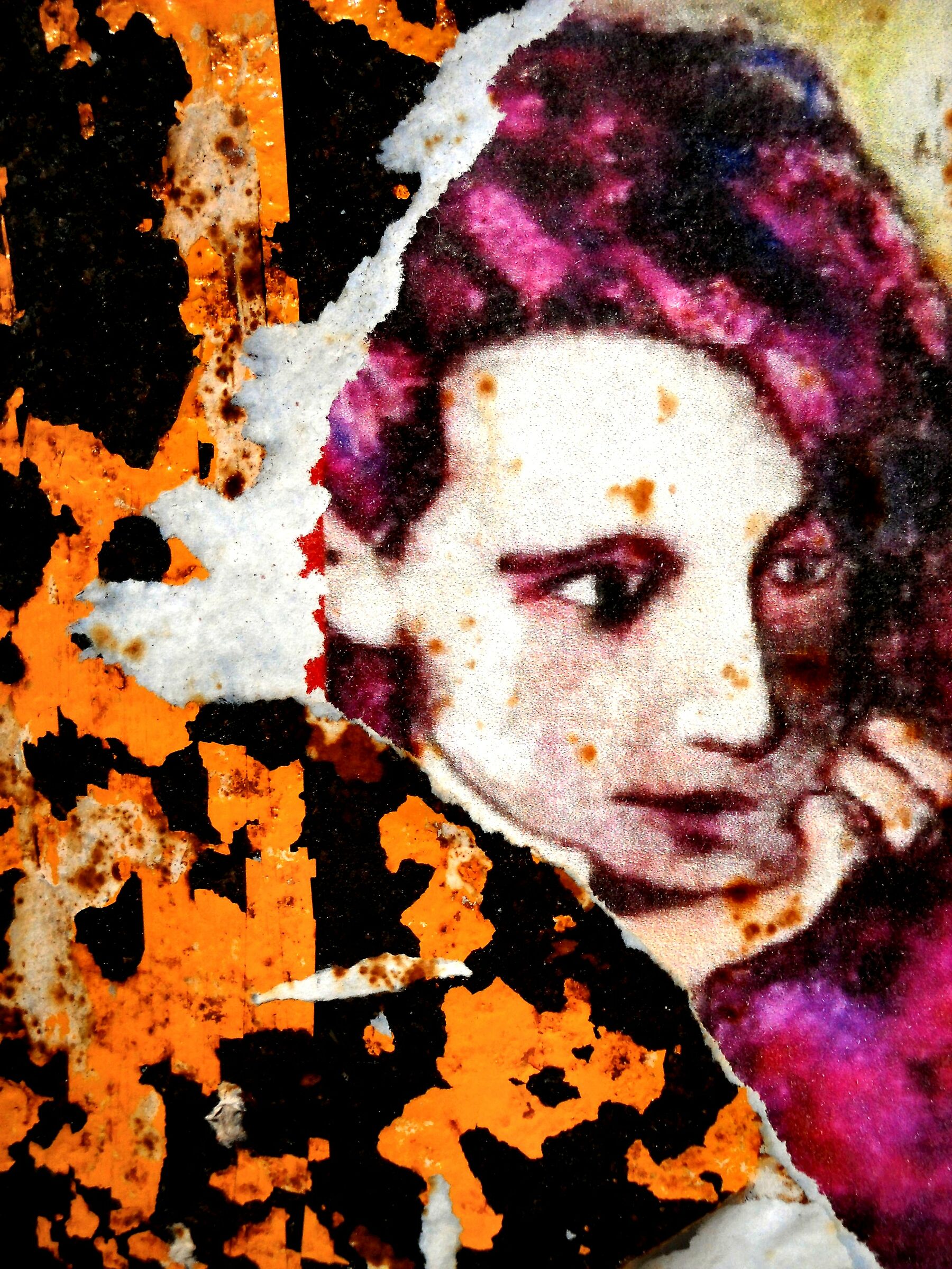 " Cogito ergo sum "