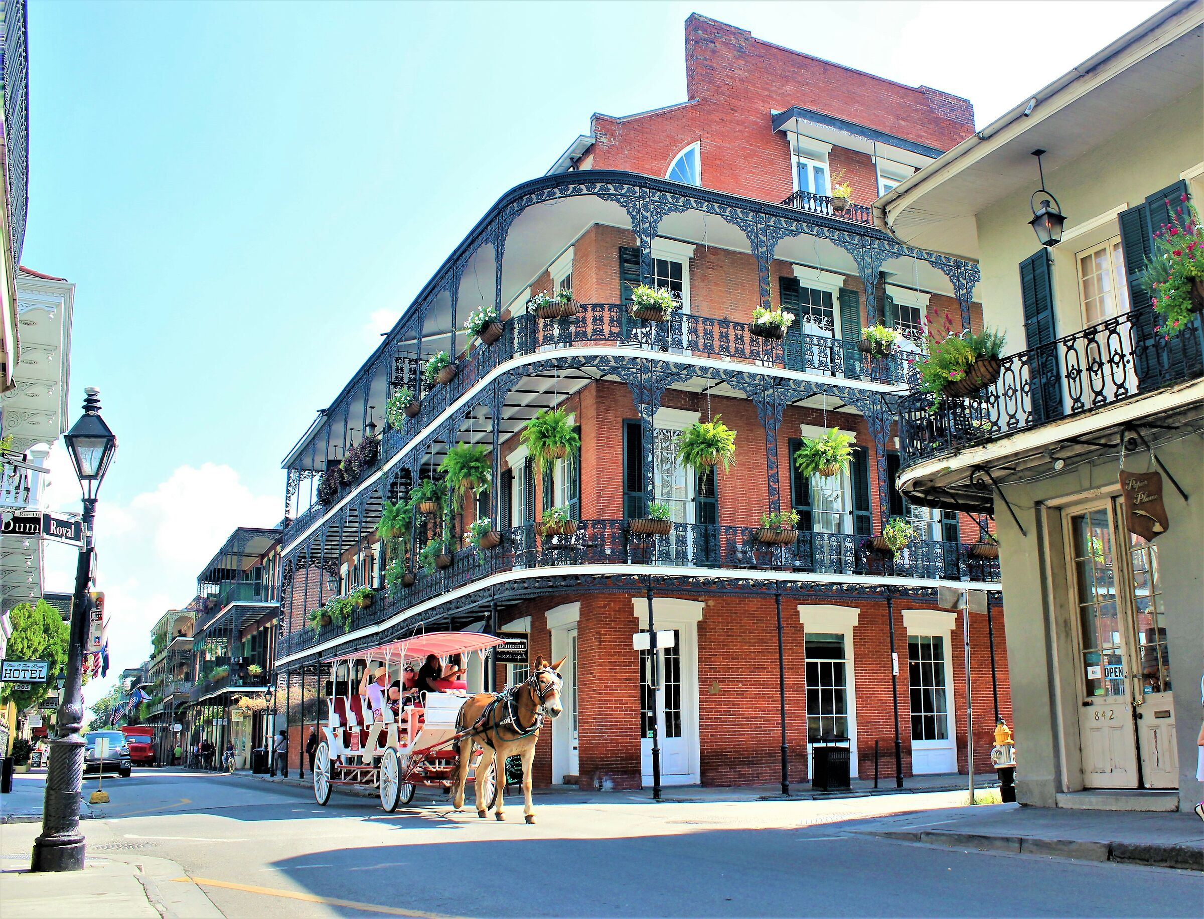 America you don't expect-French Quarter New Orleans