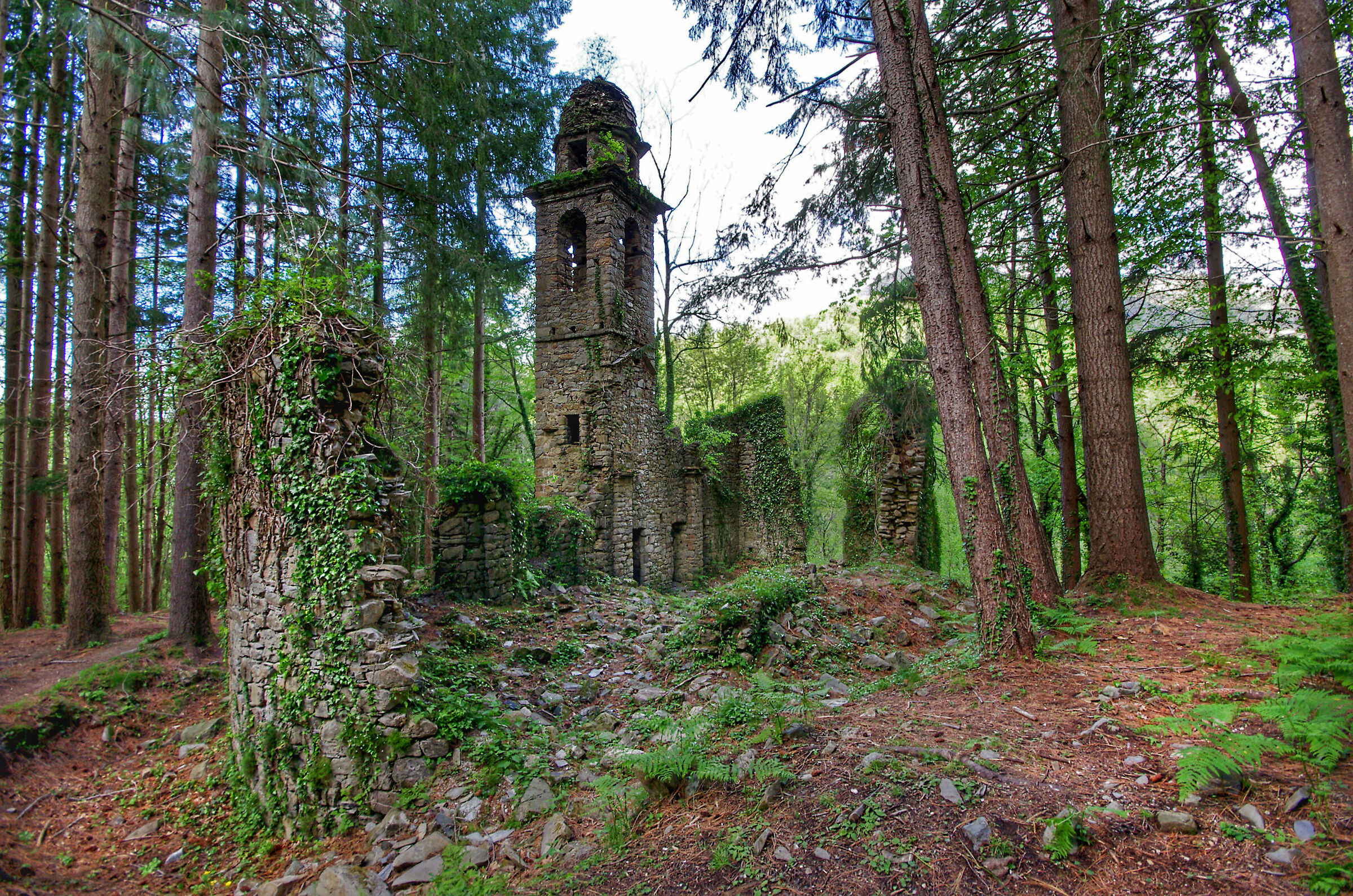 The church in the Woods