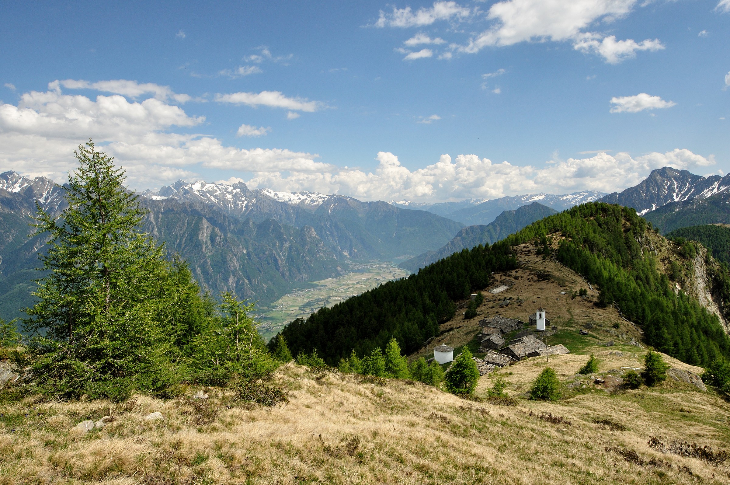 Top alp, between peace and silence