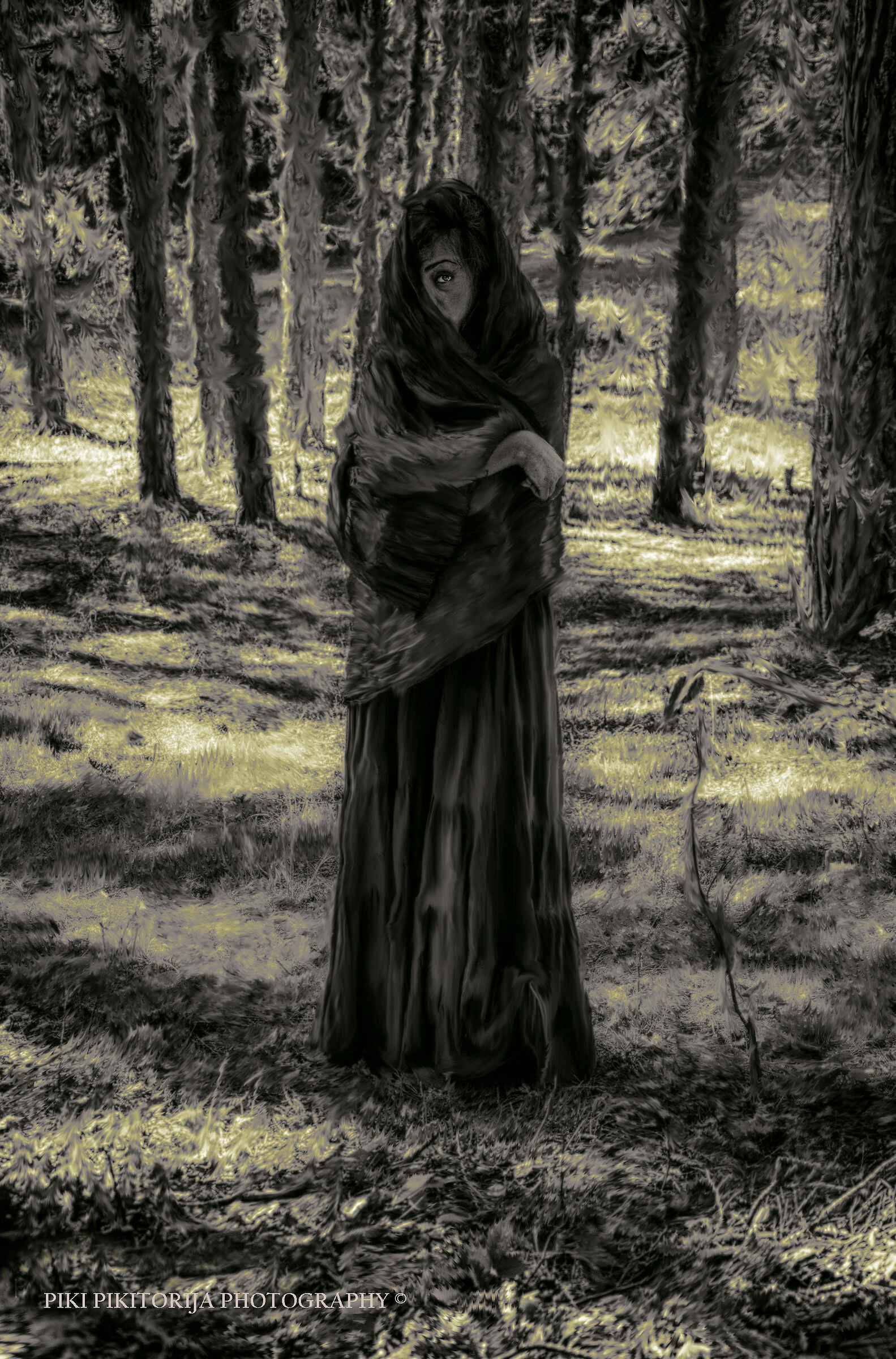 Imitazione della pittura