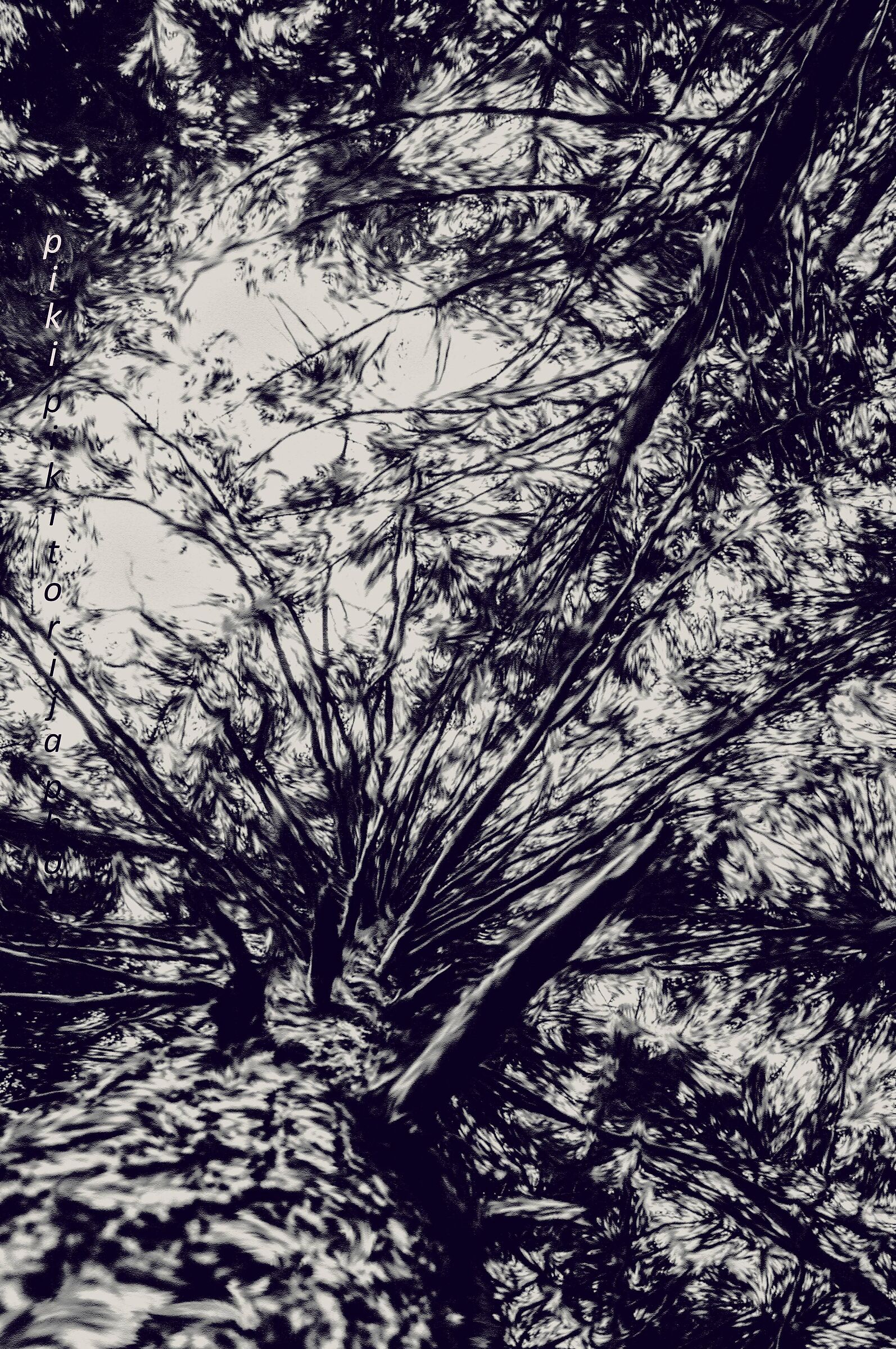 Imitazione della pittura