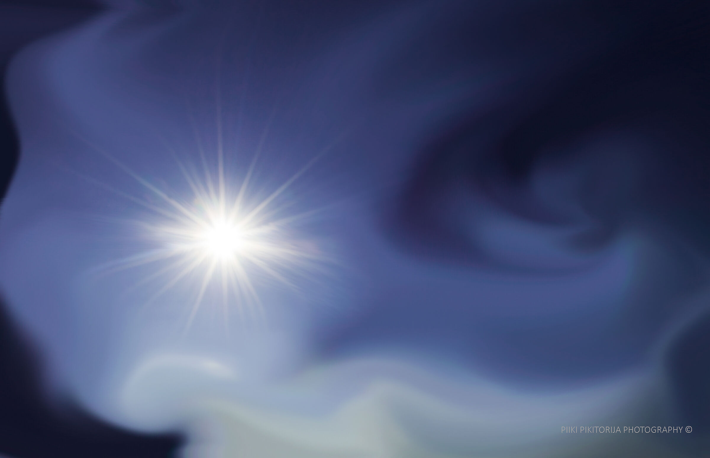 Imitazione della pittura