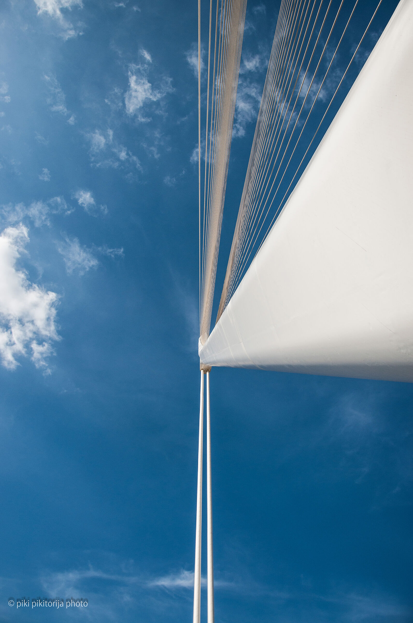 Il ponte di Calatrava. La mia vista