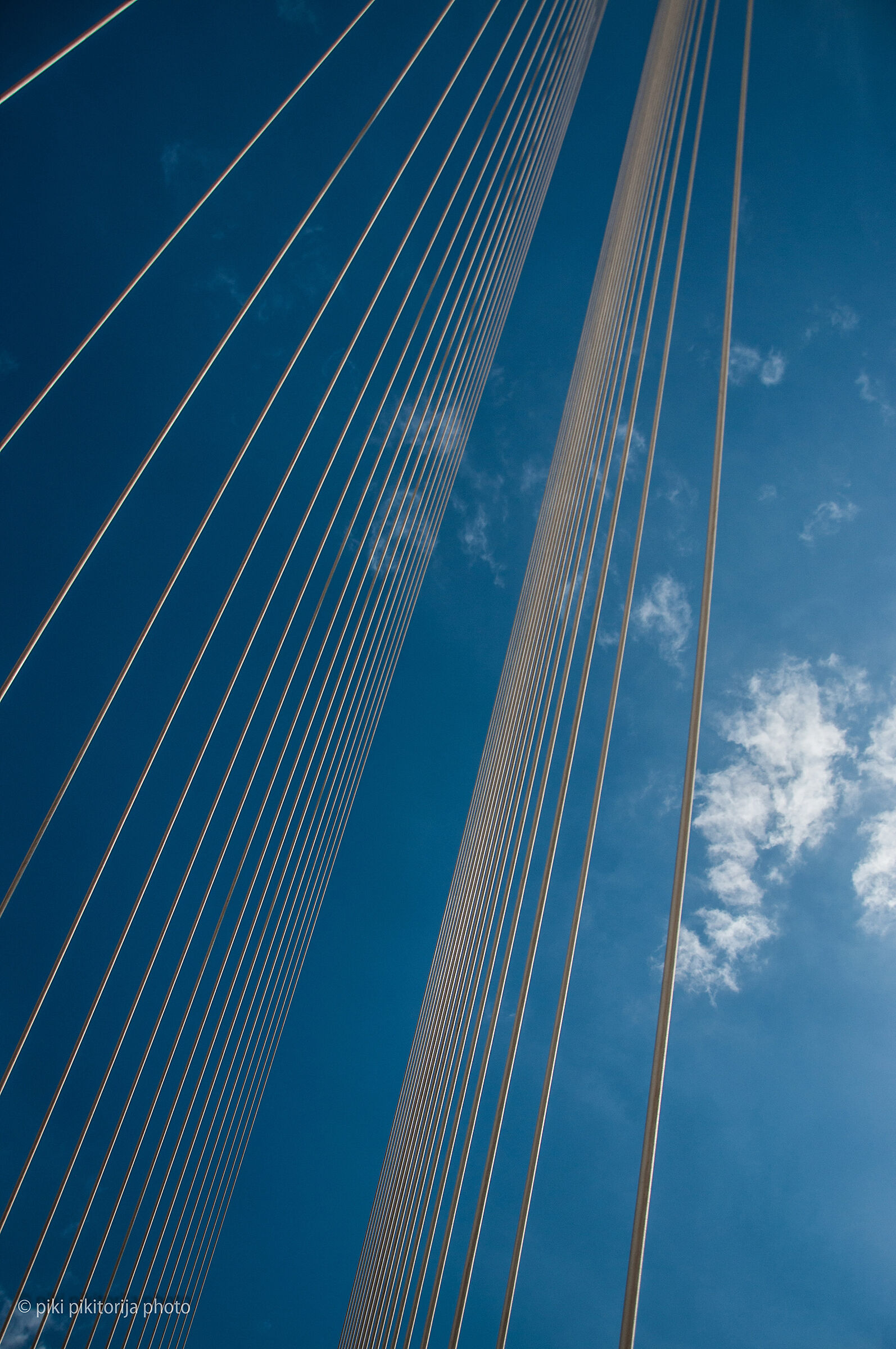 Il ponte di Calatrava. La mia vista