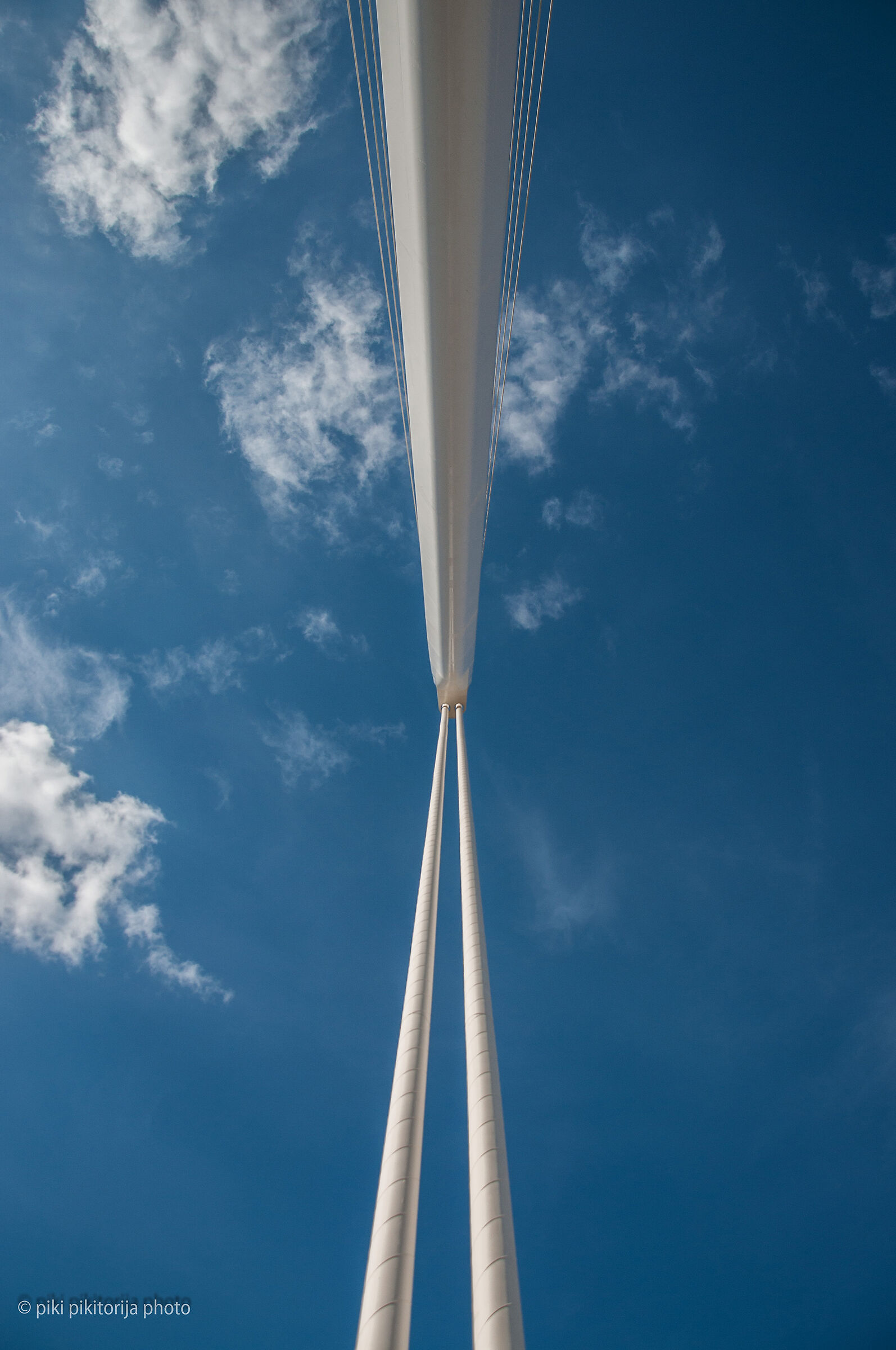 Il ponte di Calatrava. La mia vista