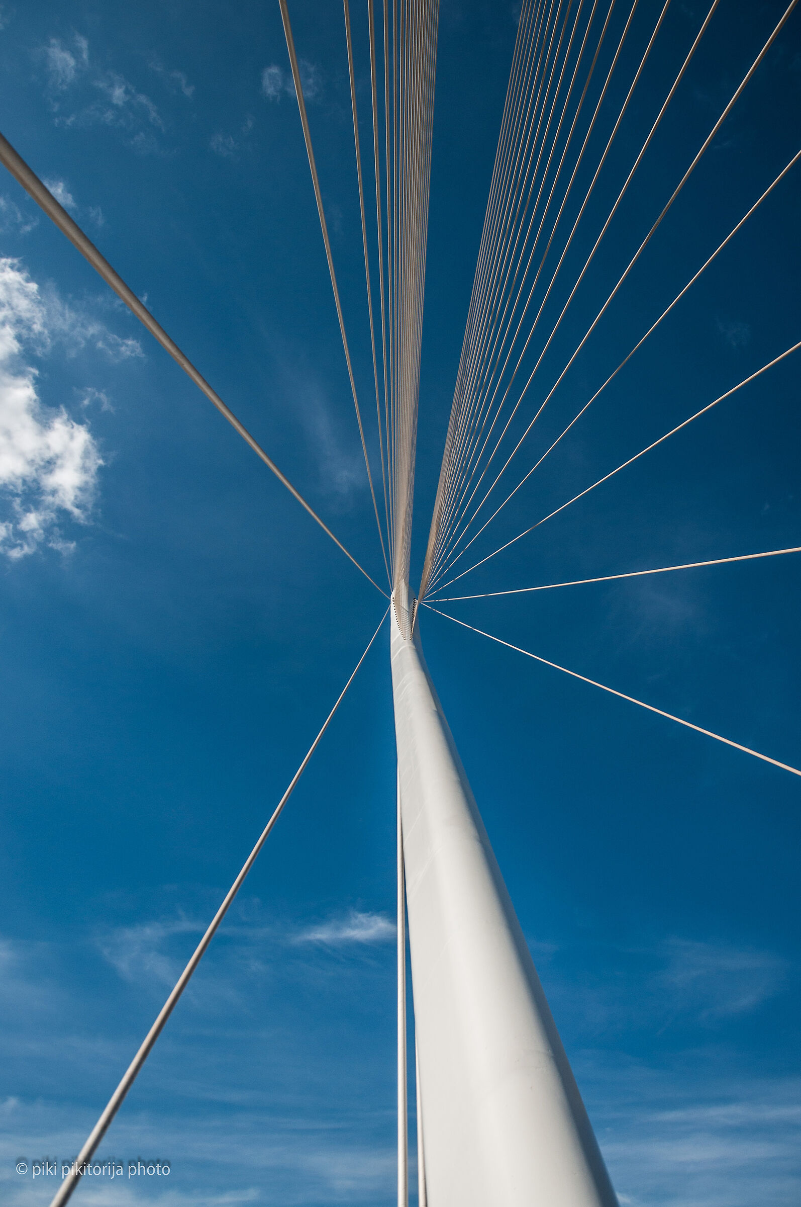 Il ponte di Calatrava. La mia vista