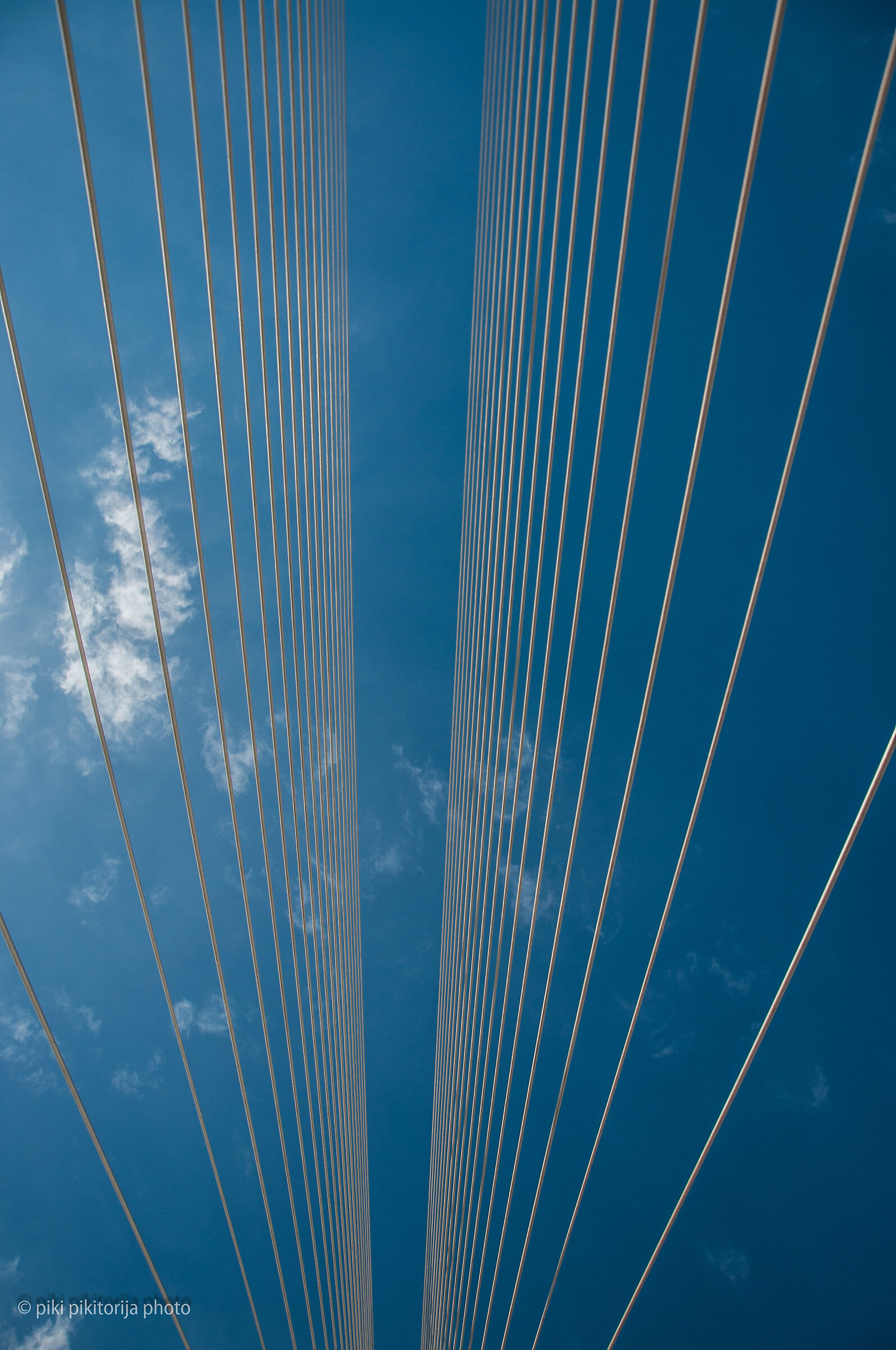 The Calatrava Bridge. My view