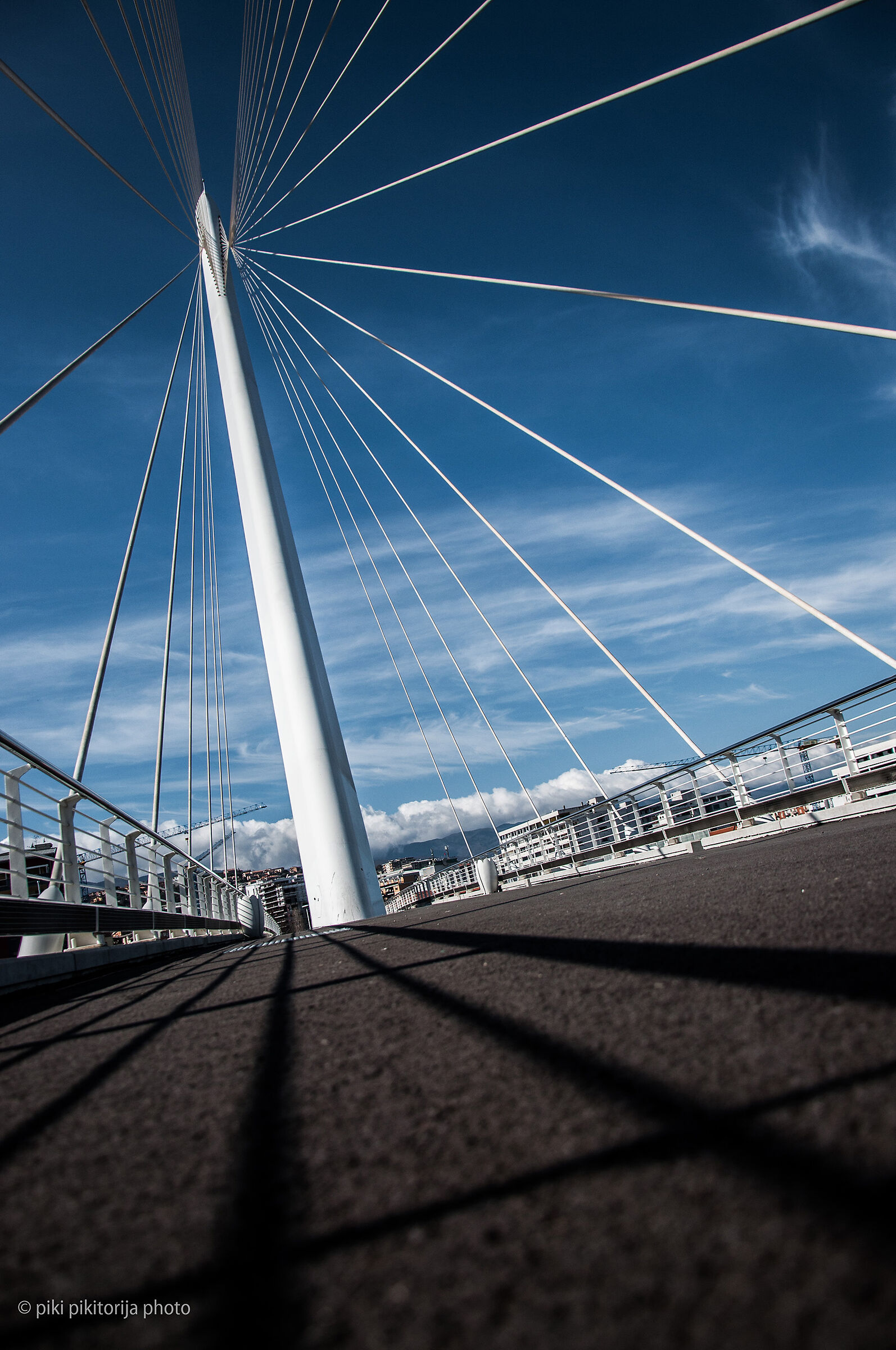 Il ponte di Calatrava. La mia vista