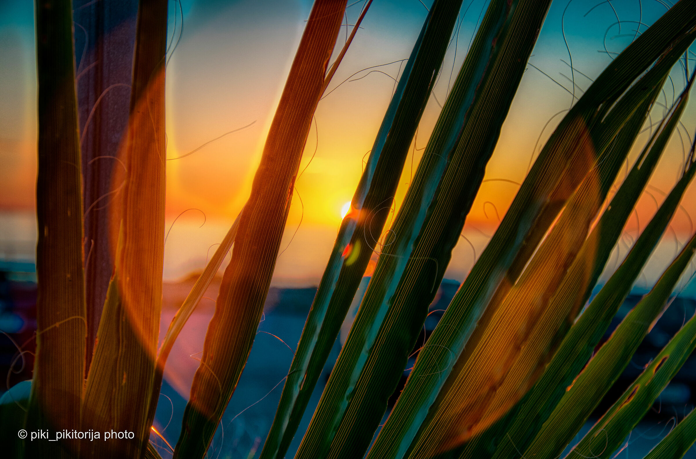 Più belli tramonti miei