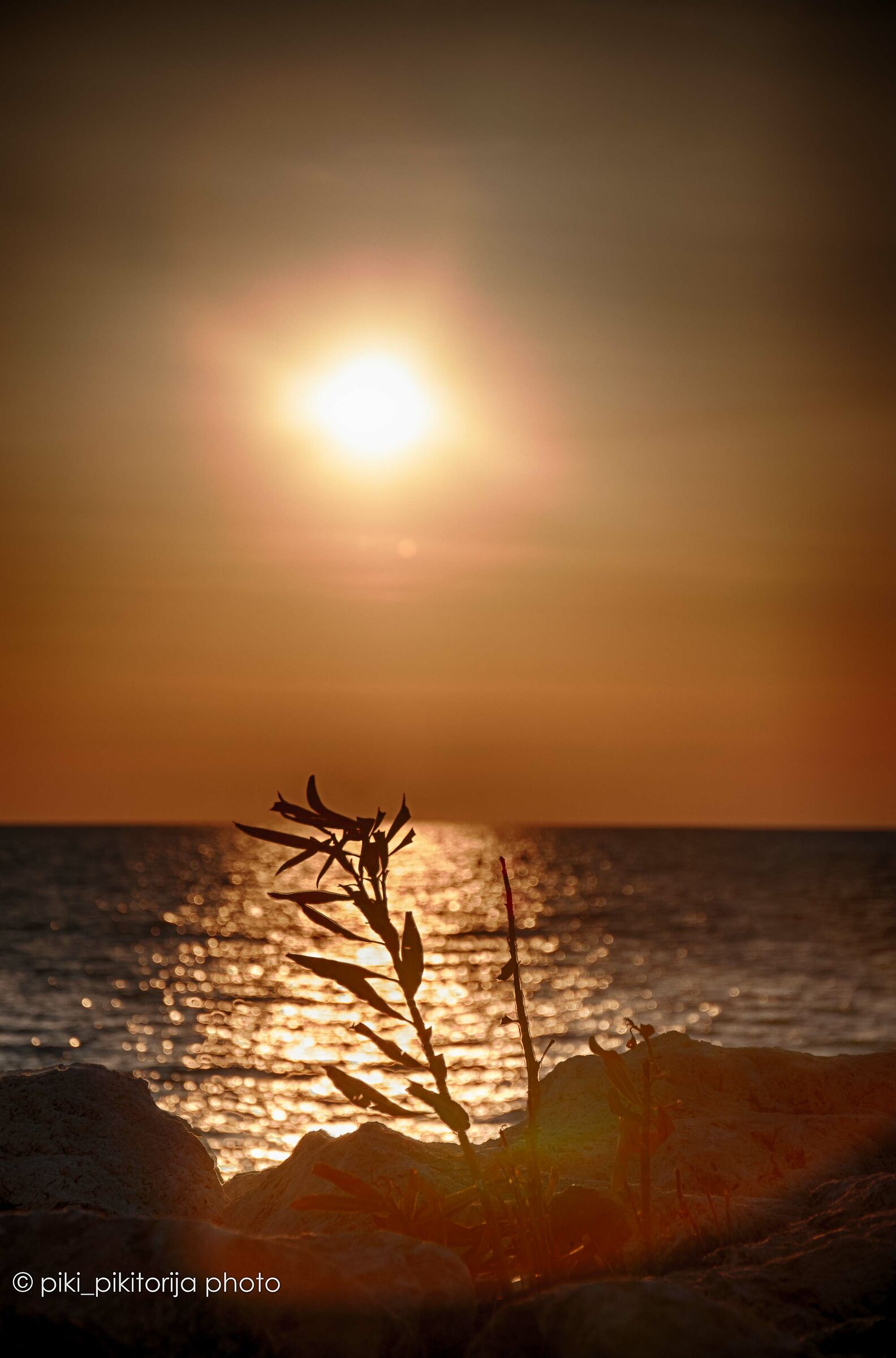 Più belli tramonti miei