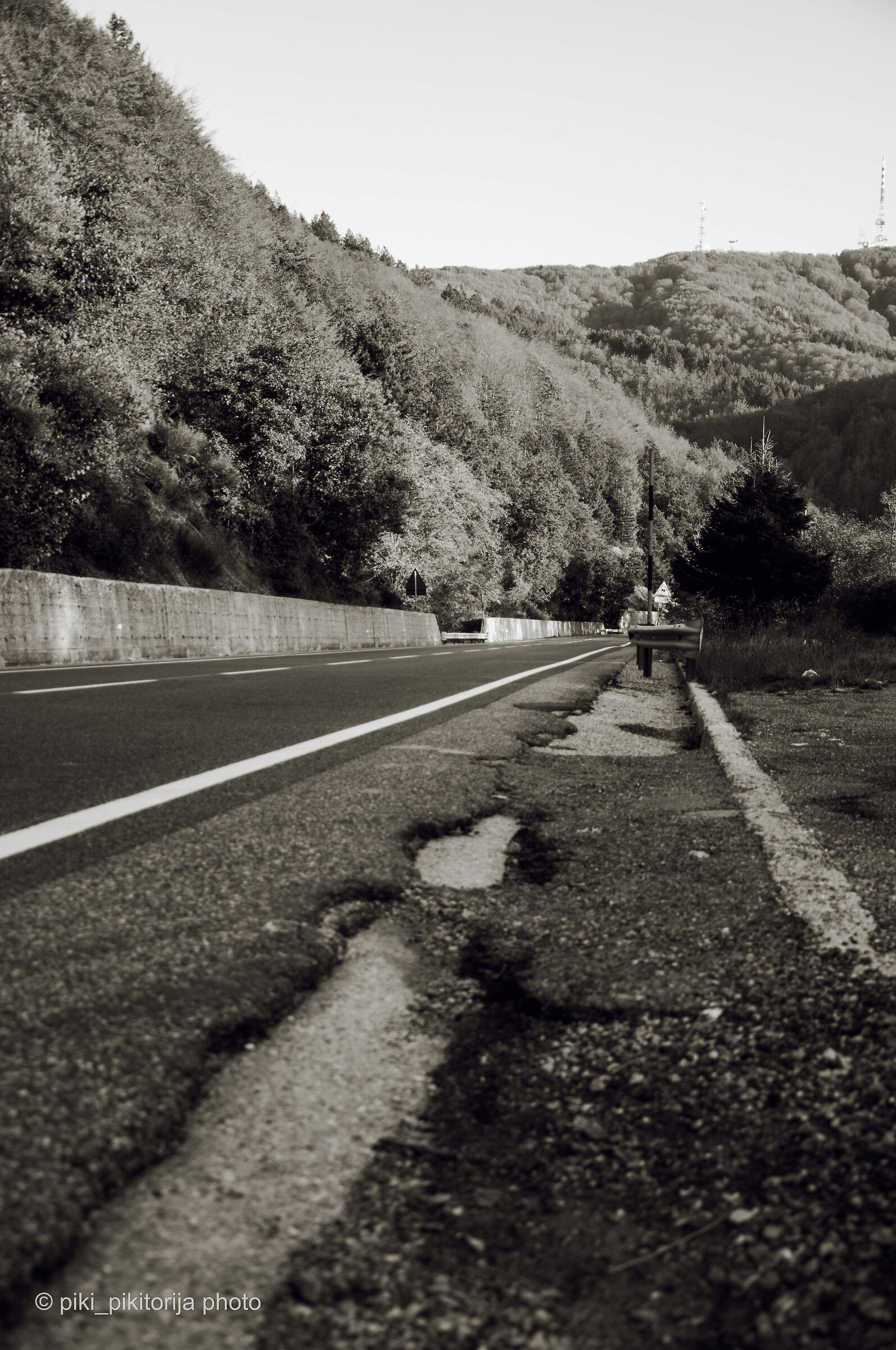 Foreste nella montagna