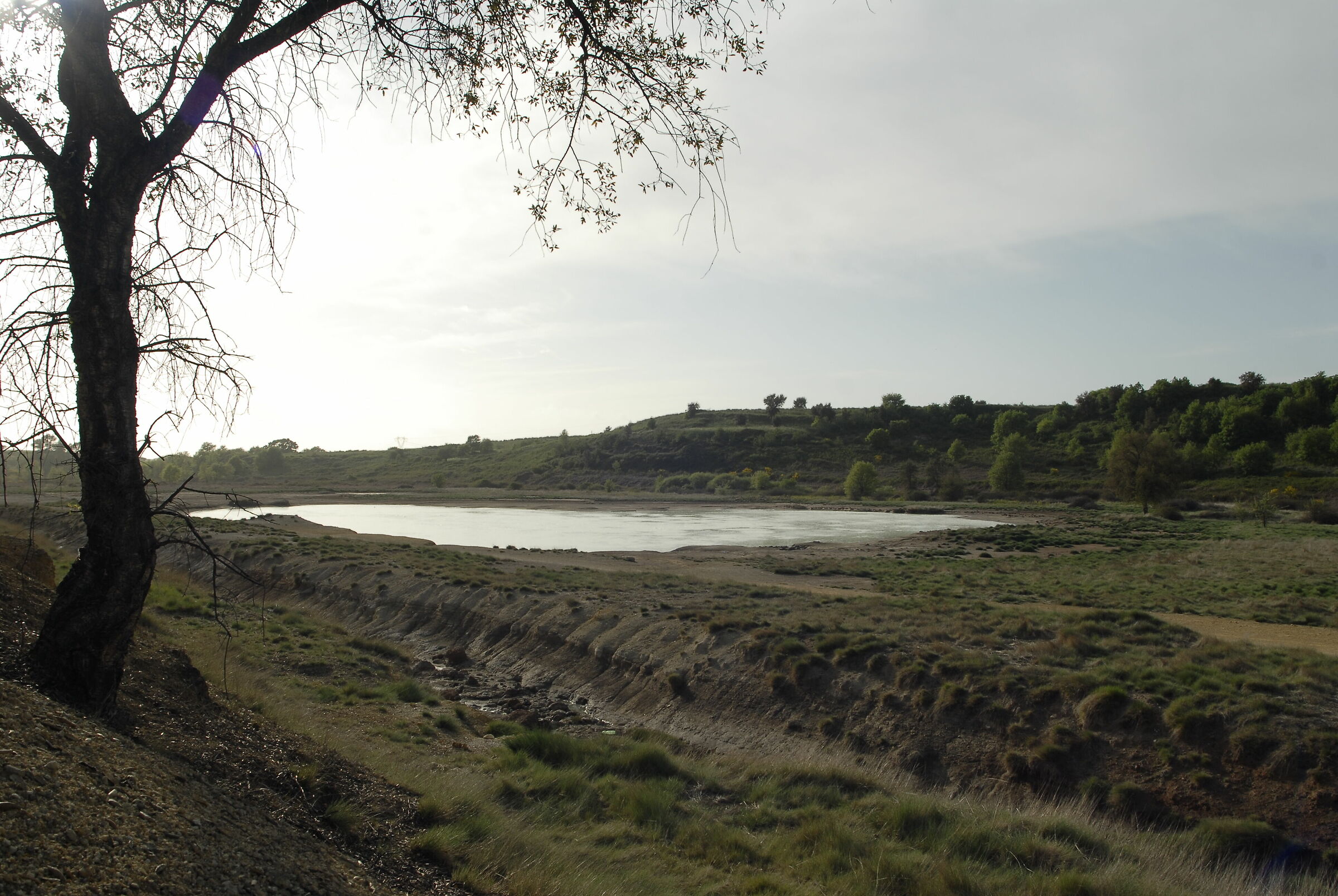 solfatara 1 jpg on camera